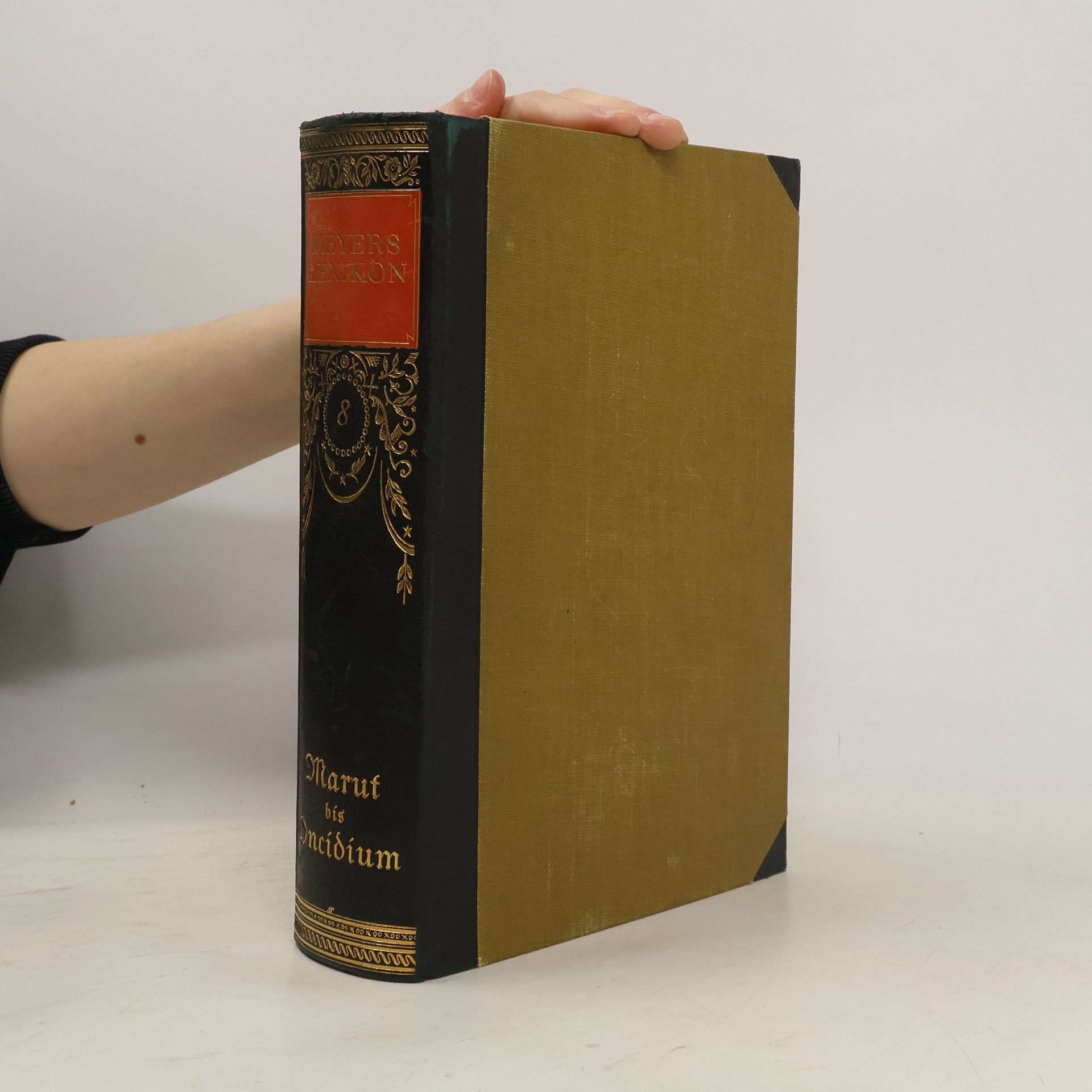 Autorenkollektiv Meyers Lexikon 8