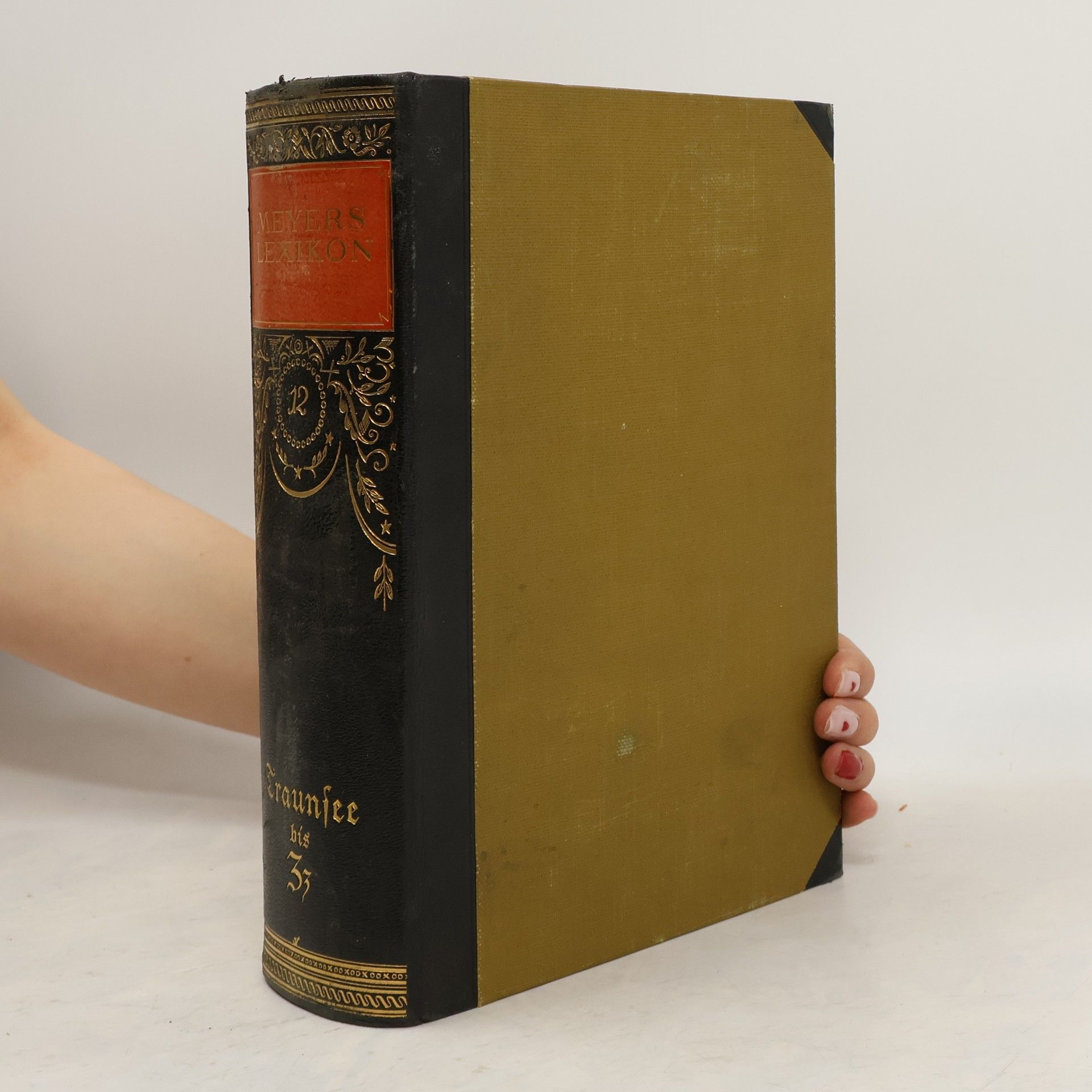 Herrmann Julius Meyer Meyers Lexikon. Bd 12, Traunsee bis Zz