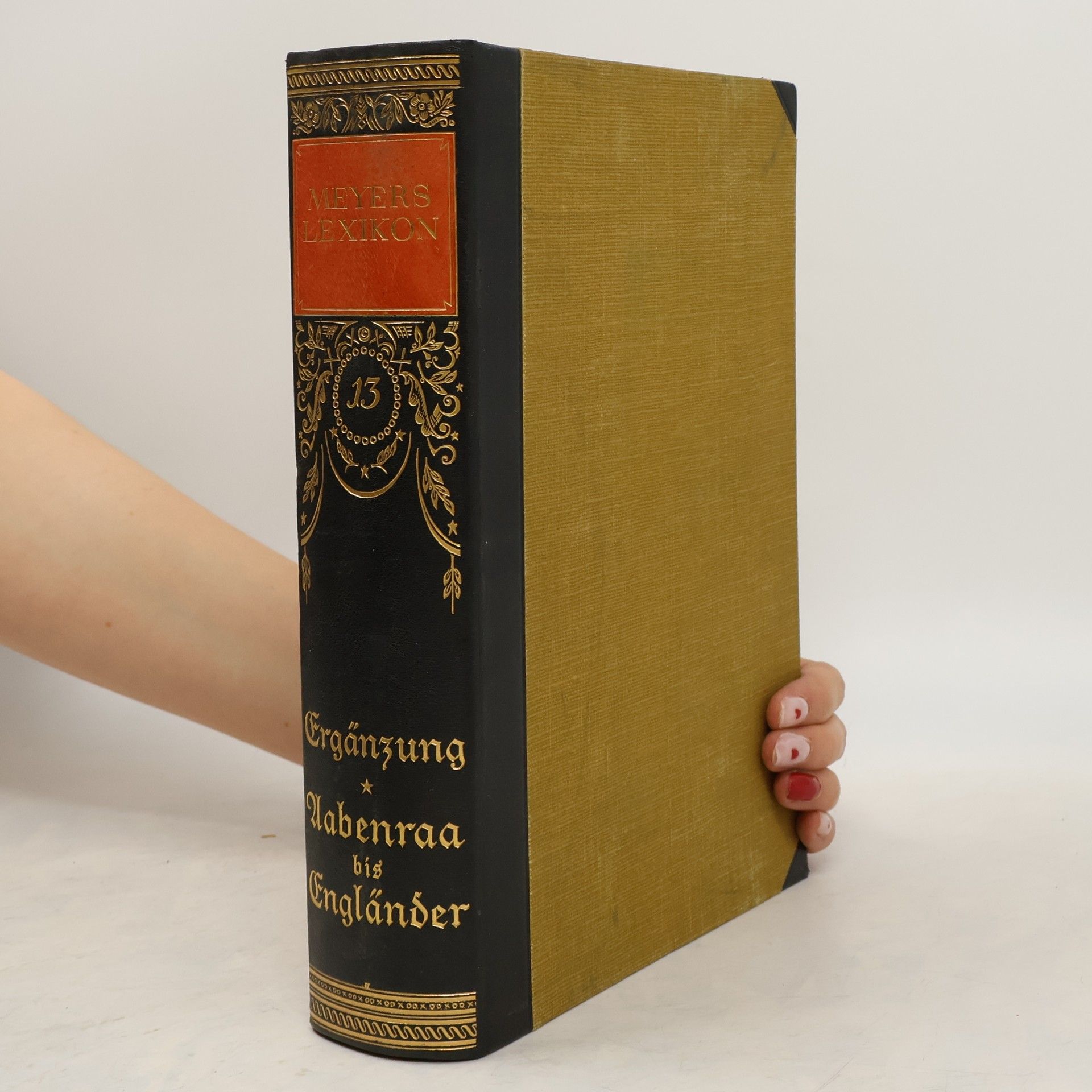 Auteurscollectief Meyers Lexikon 13.