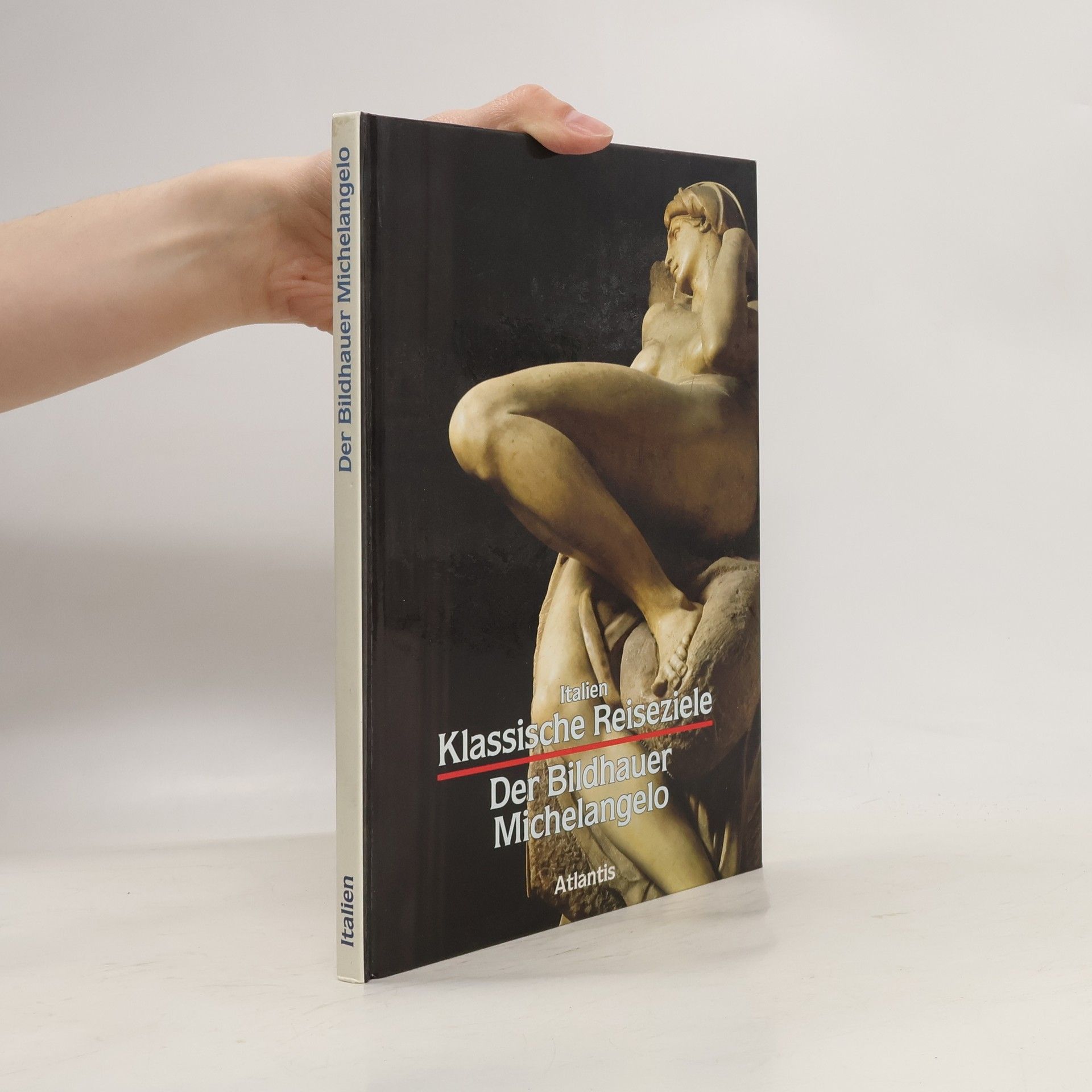 Michelangelo Der Bildhauer Michelangelo