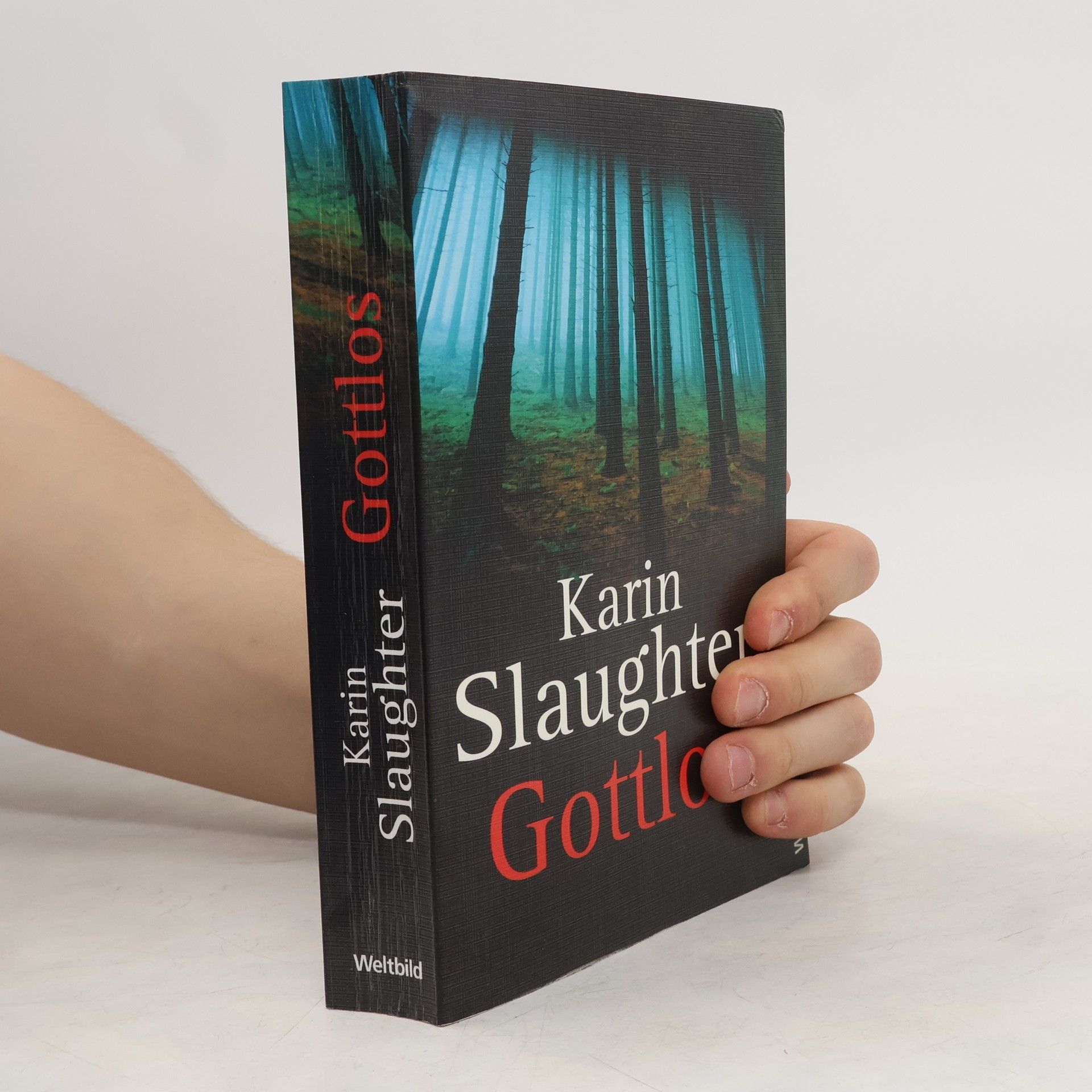 Karin Slaughter Gottlos