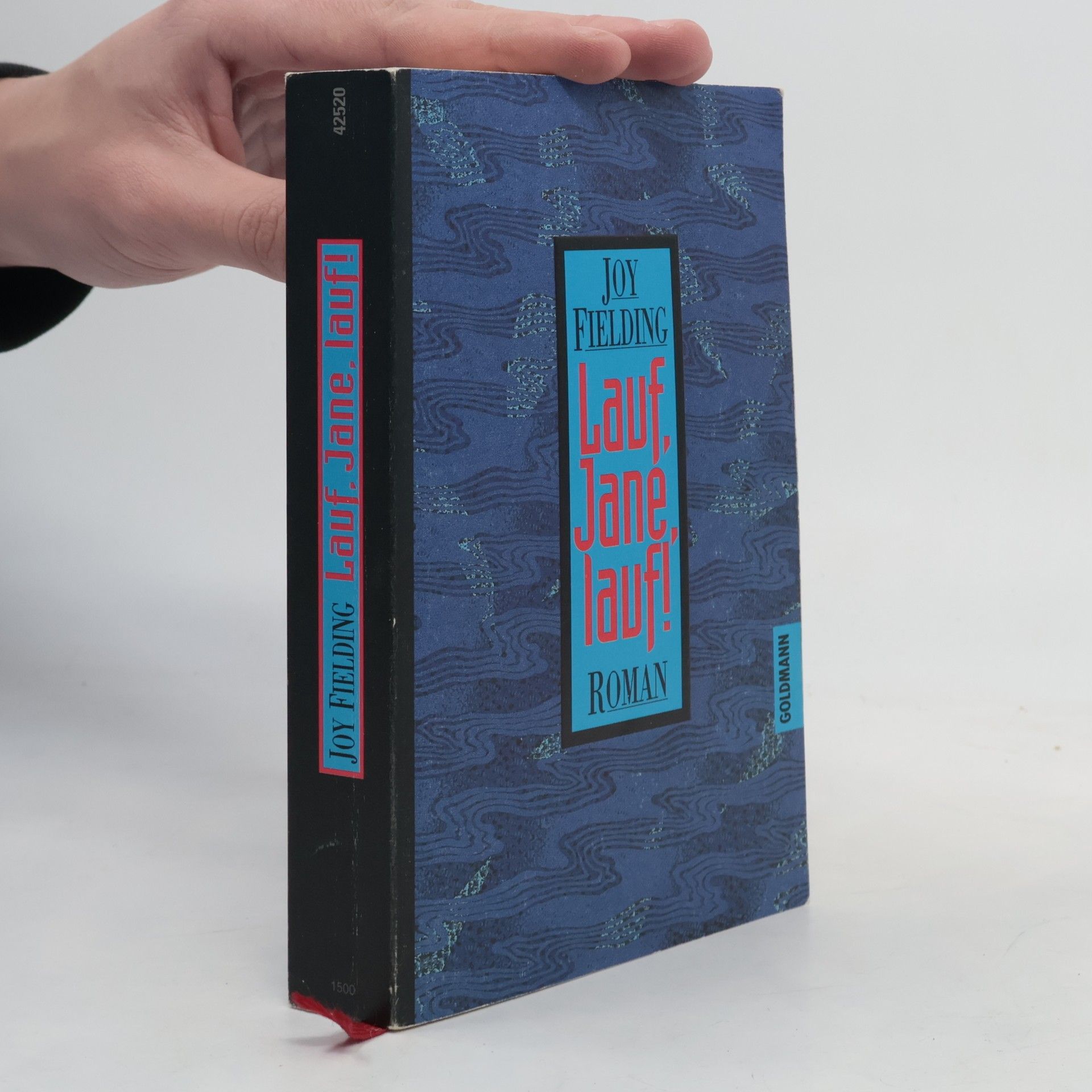 Joy Fielding Lauf, Jane, lauf!