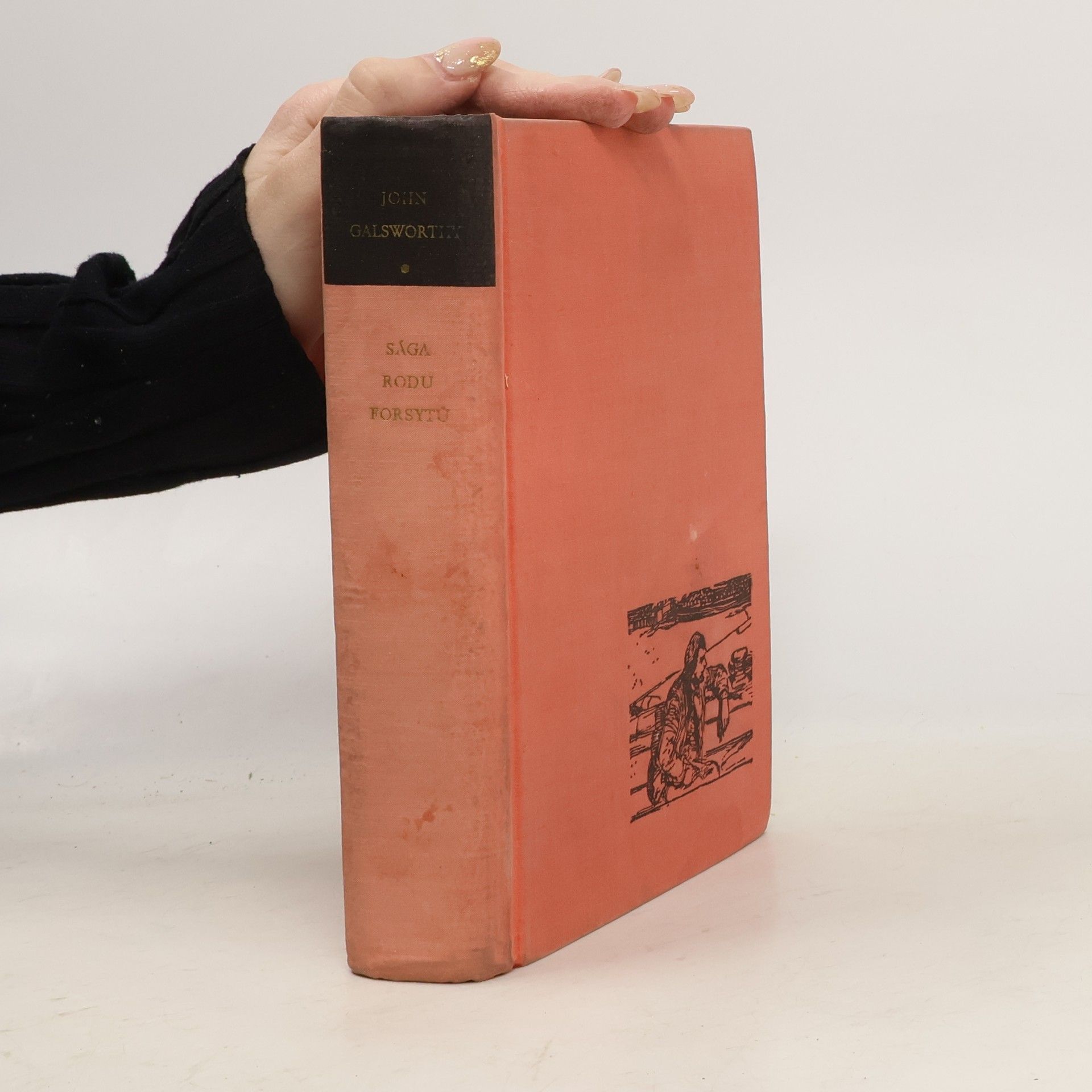 John Galsworthy Sága rodu Forsytů