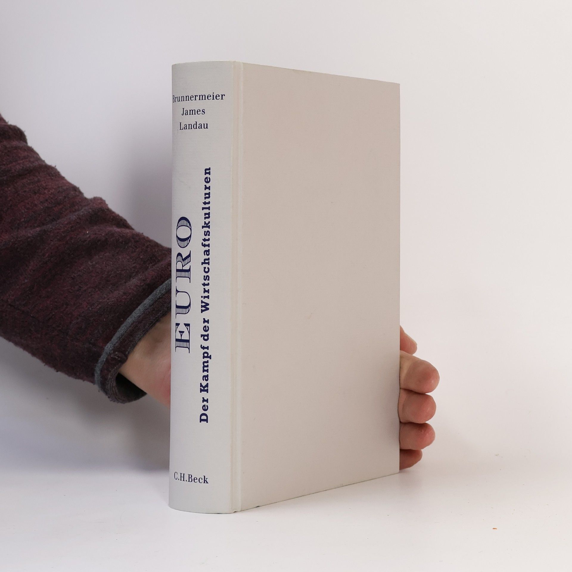 Markus Brunnermeier Euro