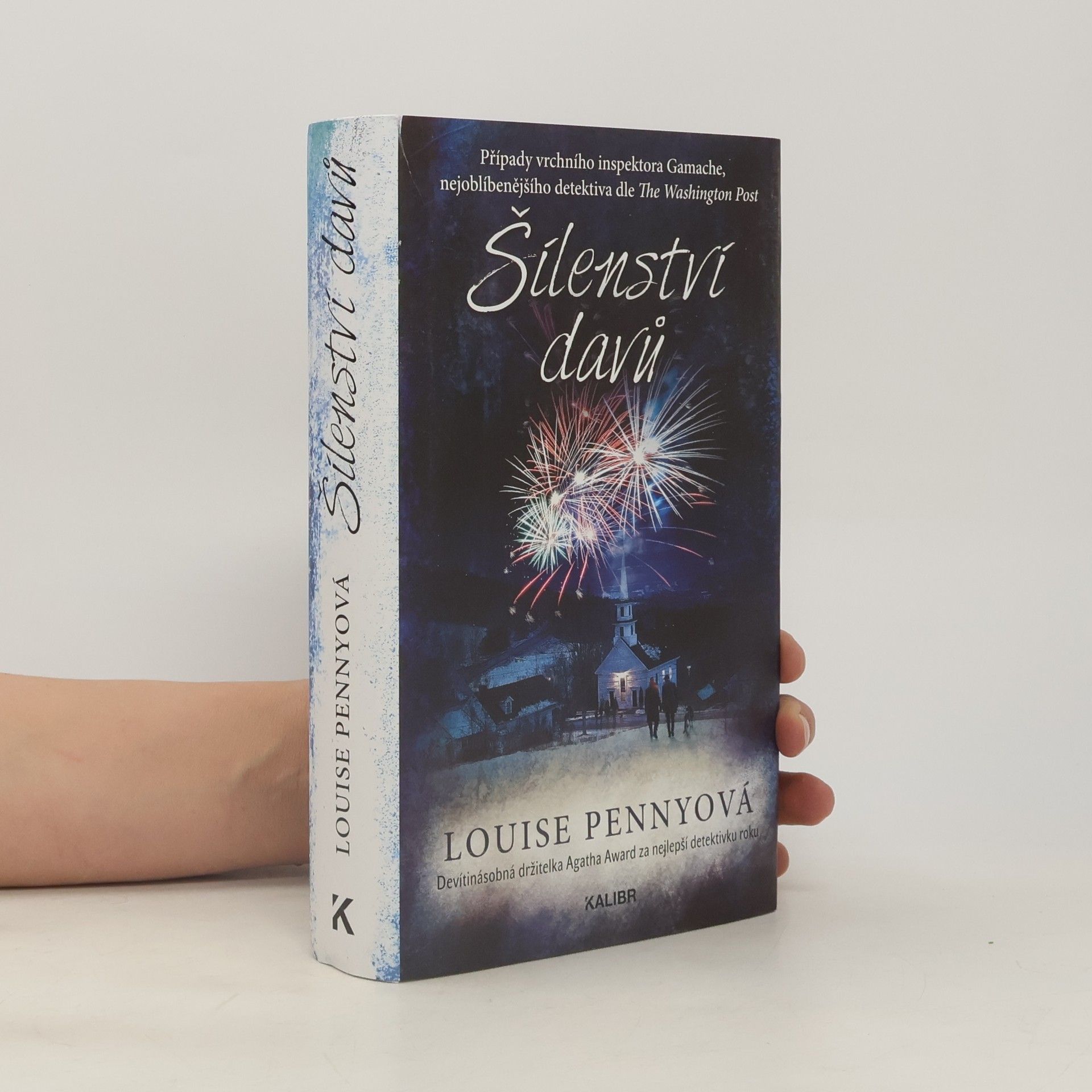 Louise Penny Šílenství davů