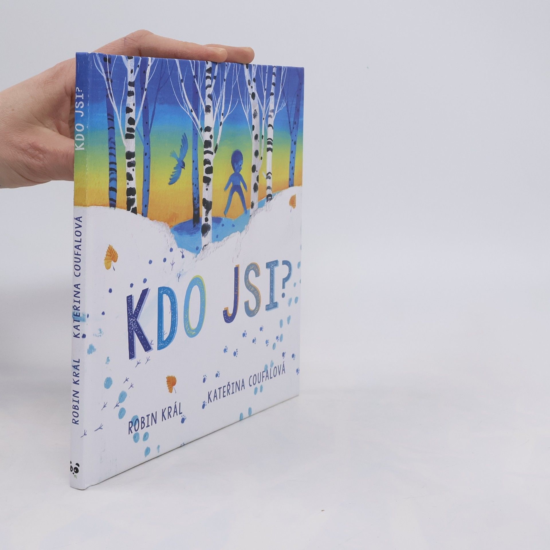 Robin Král Kdo jsi?