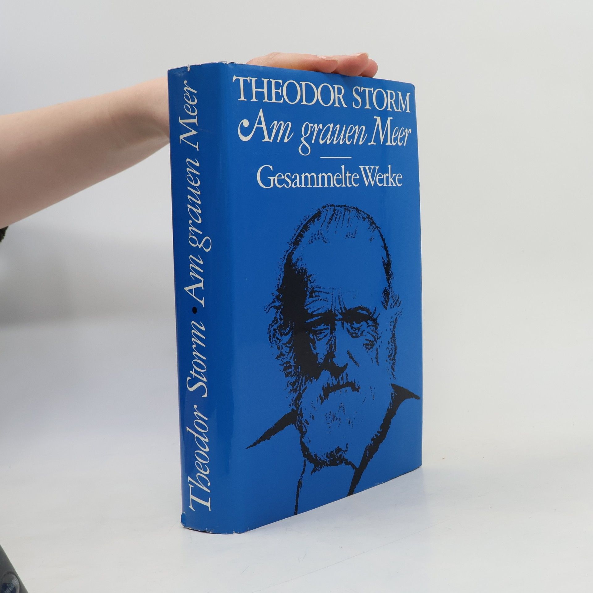 Theodor Storm Am Grauen Meer