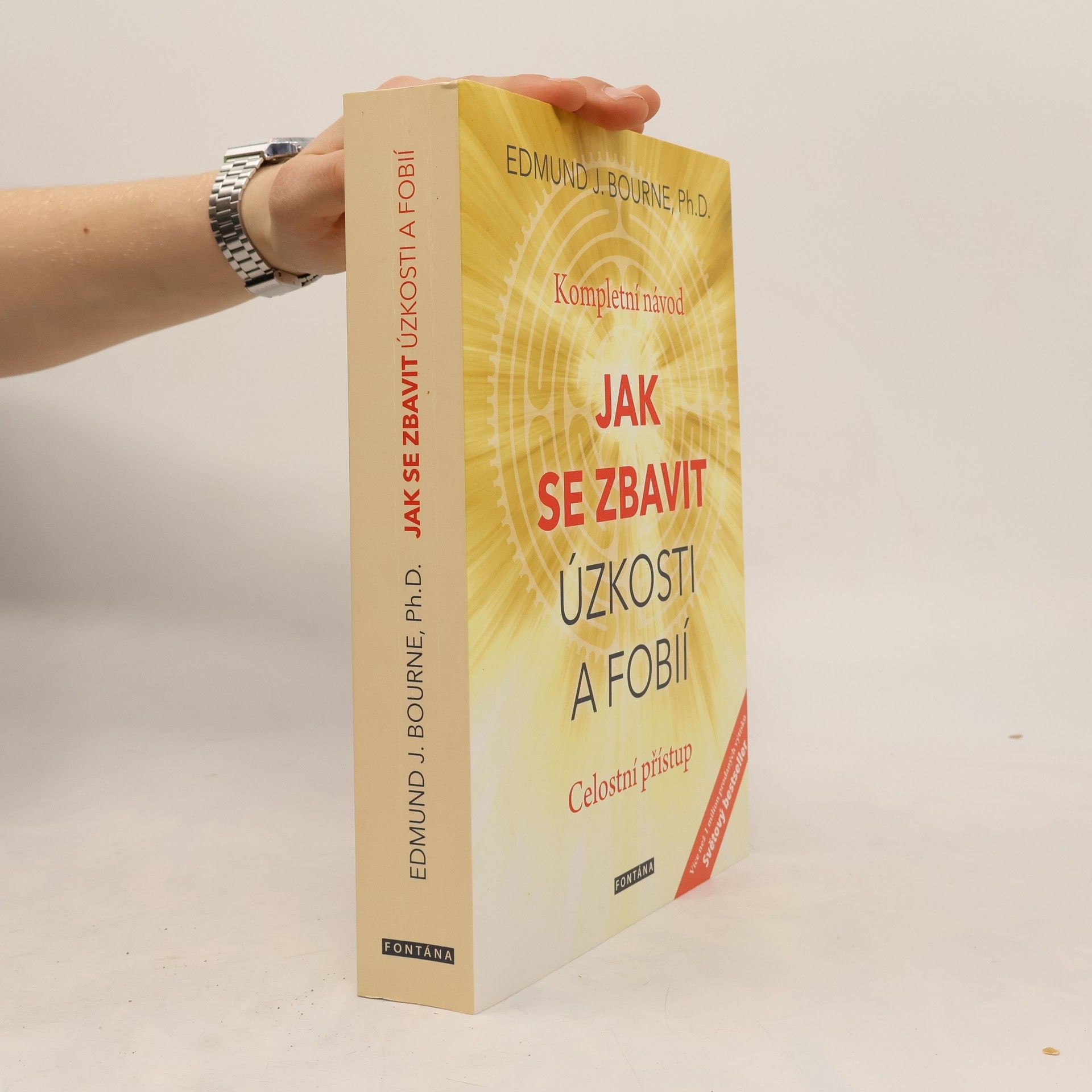 Edmund J. Bourne Jak se zbavit úzkosti a fobií