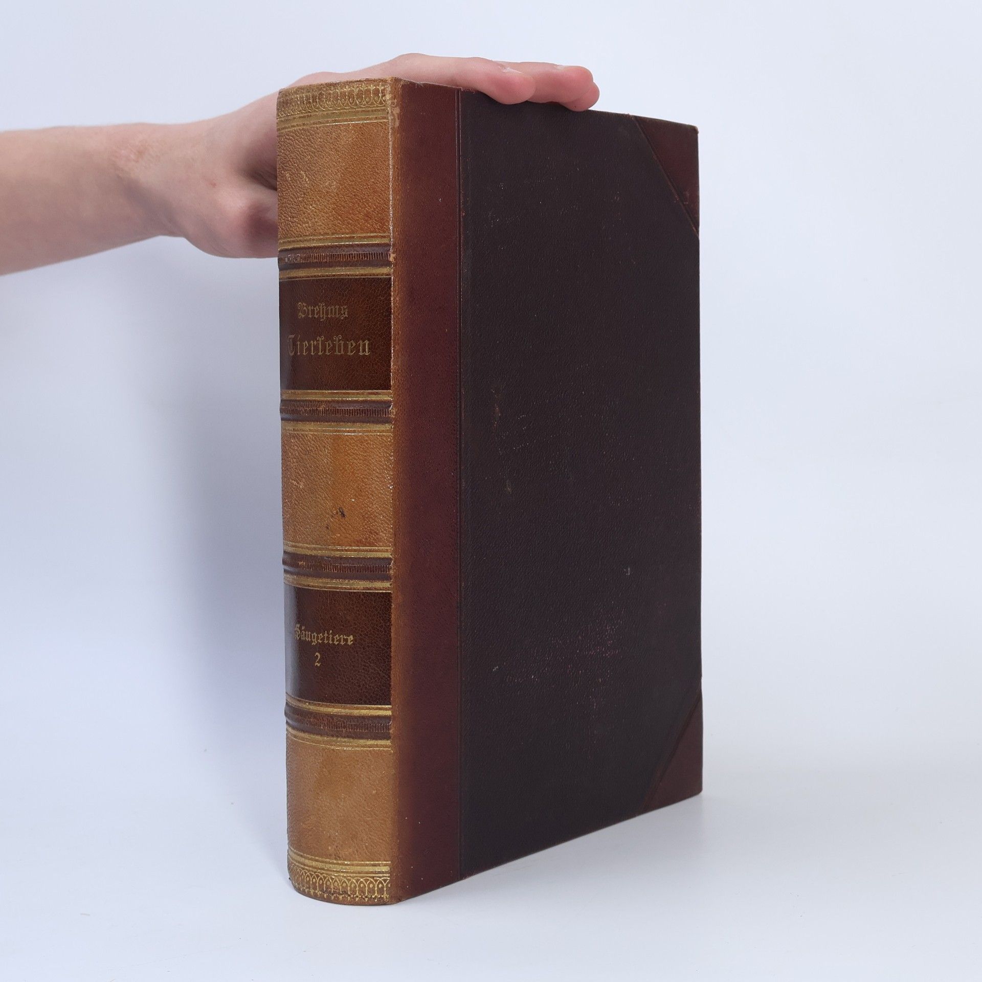 Alfred Edmund Brehm Die Säugetiere 2