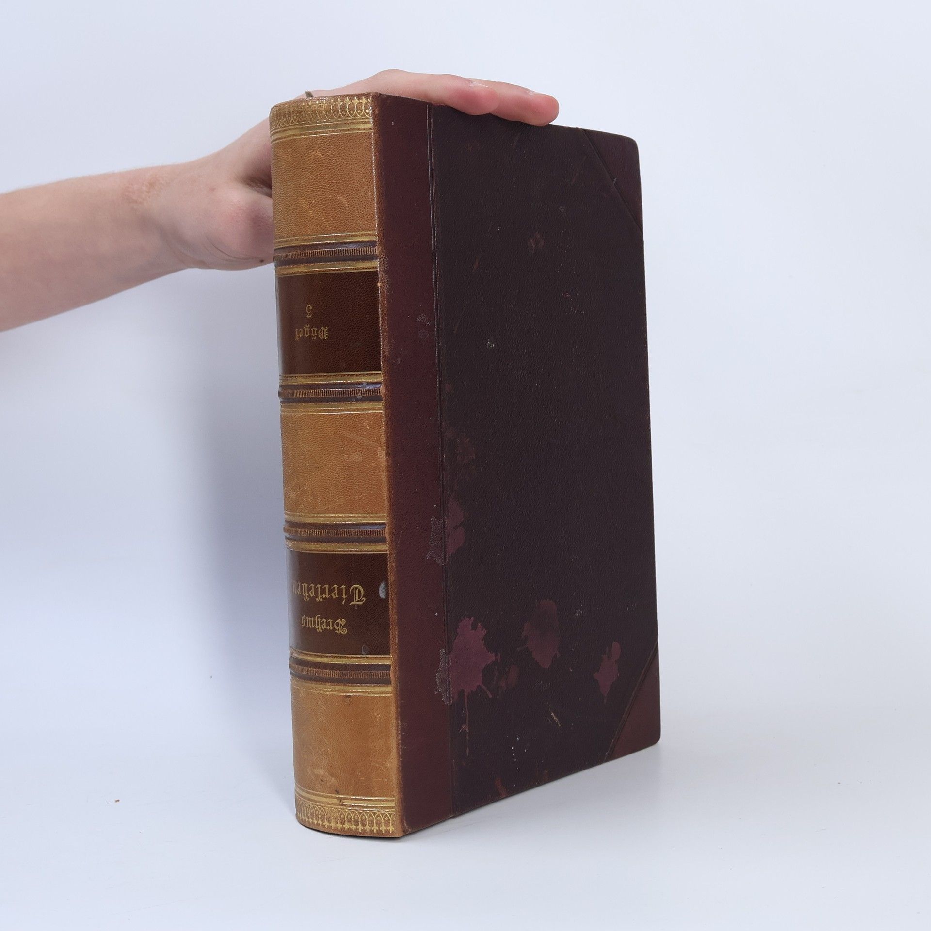 Alfred Edmund Brehm Brehms Tierleben. Vögel 3