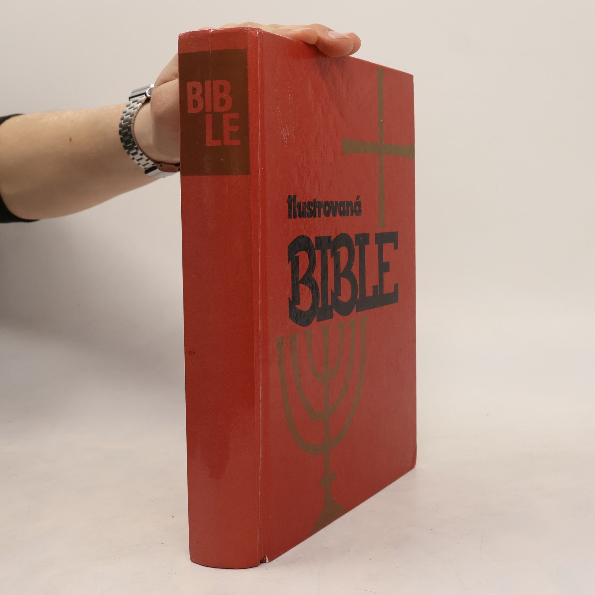 Samuel Terrien Ilustrovaná Bible pro mládež
