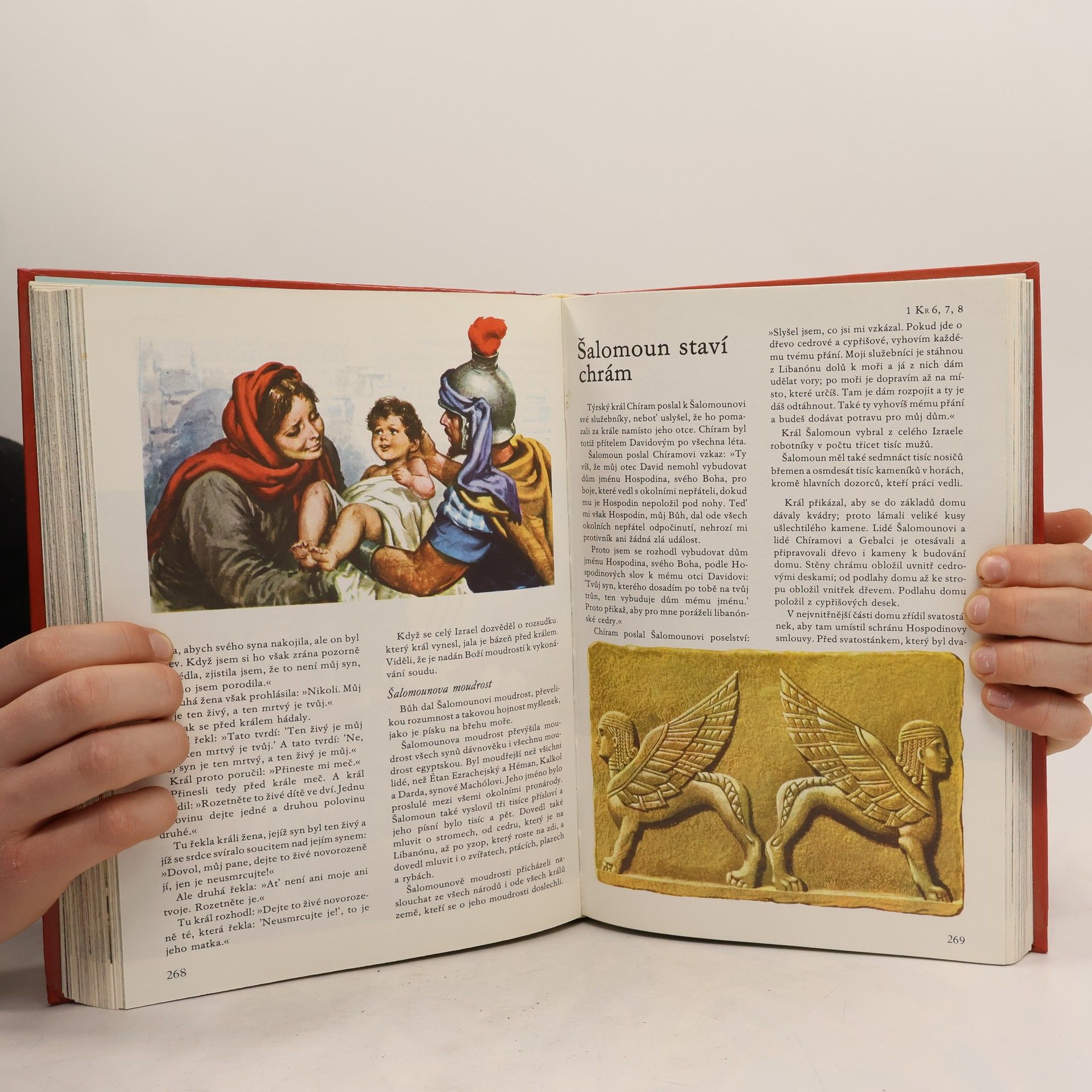 Samuel Terrien Ilustrovaná Bible pro mládež