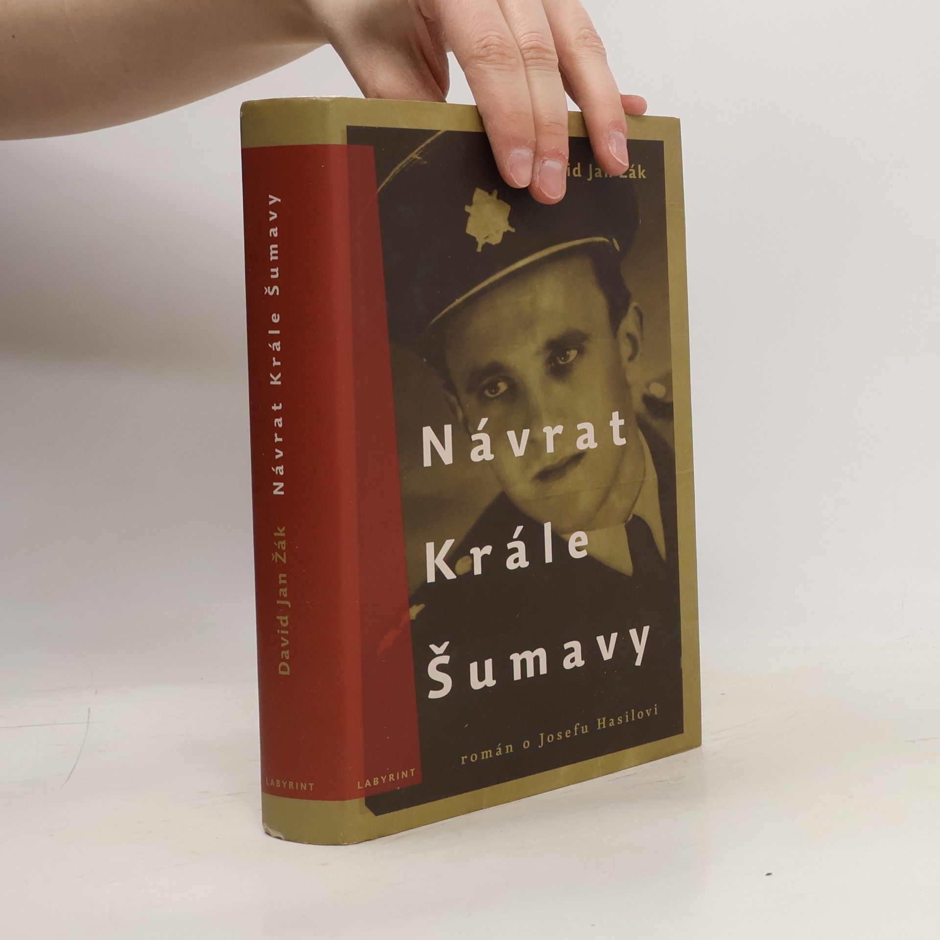 David Jan Žák Návrat Krále Šumavy