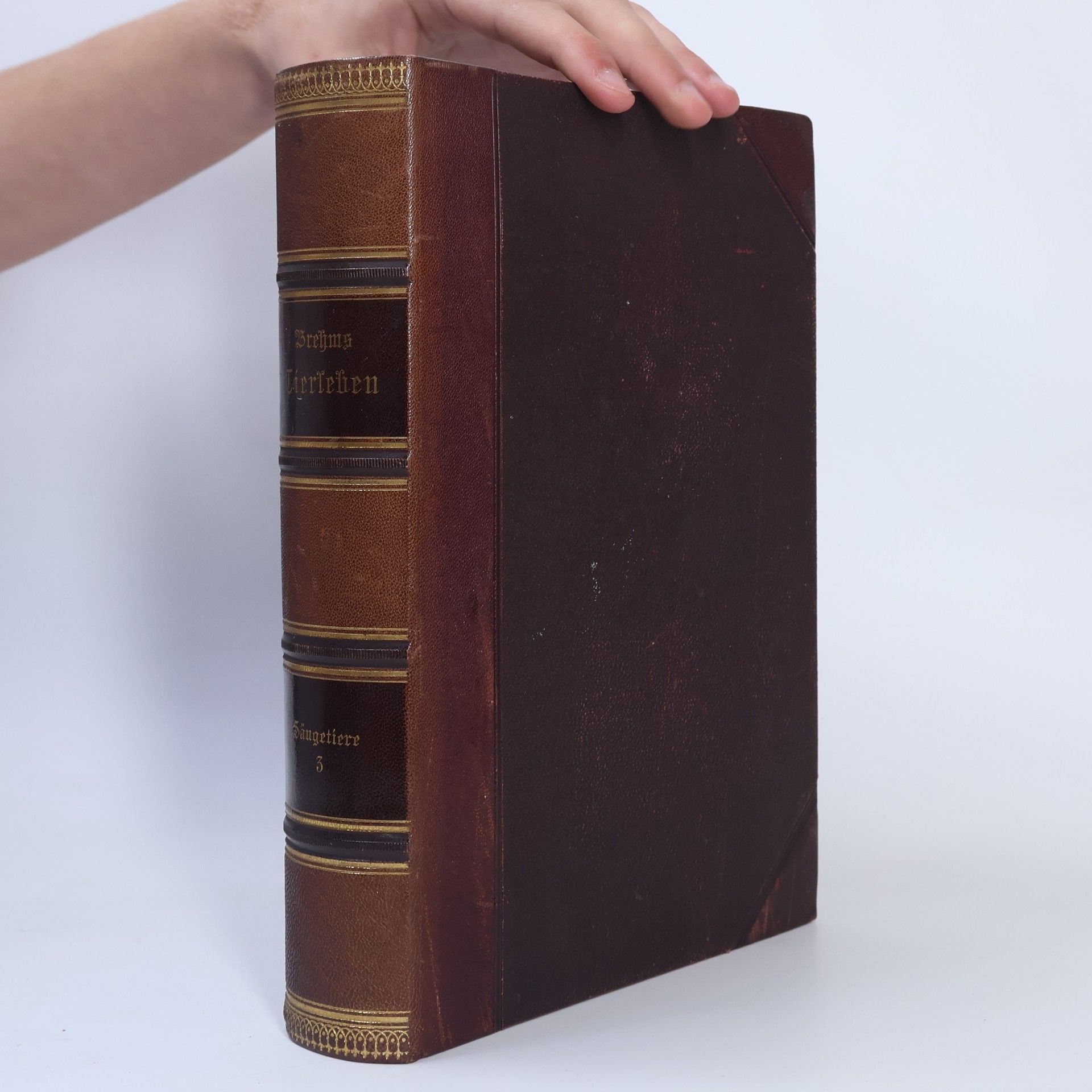 Alfred Edmund Brehm Brehms Tierleben 3