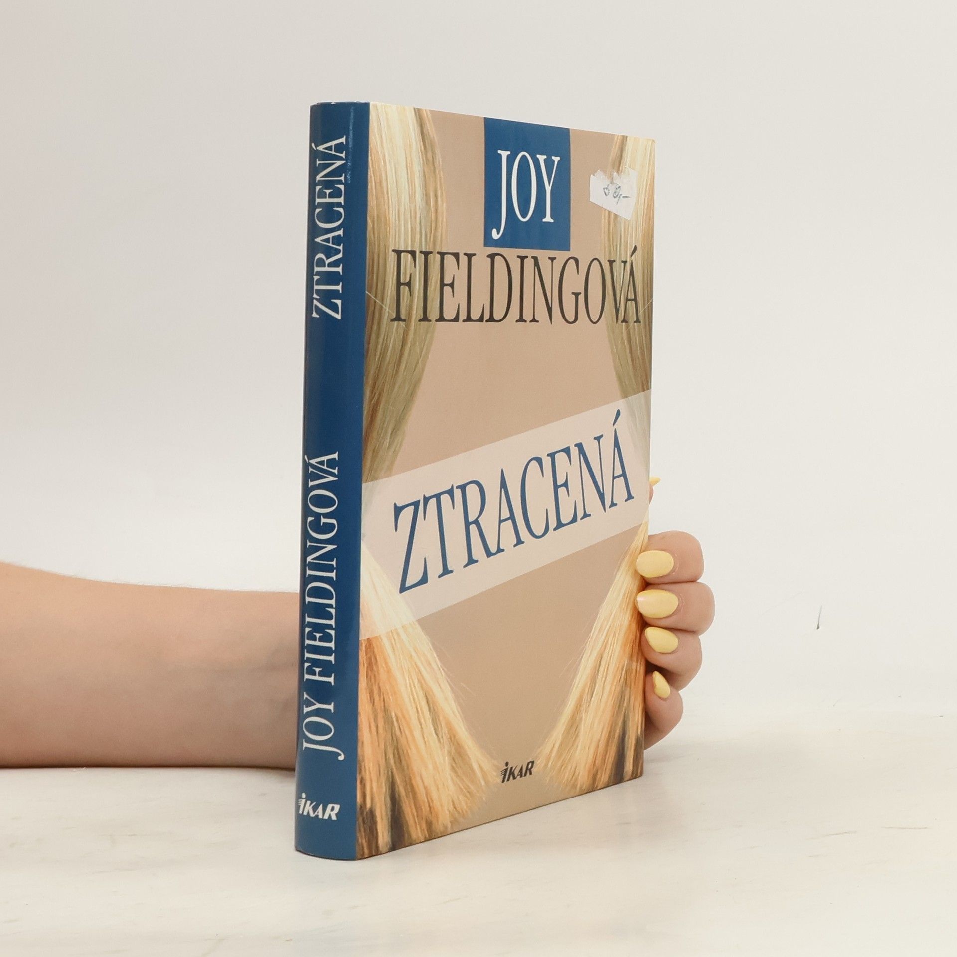 Joy Fielding Ztracená