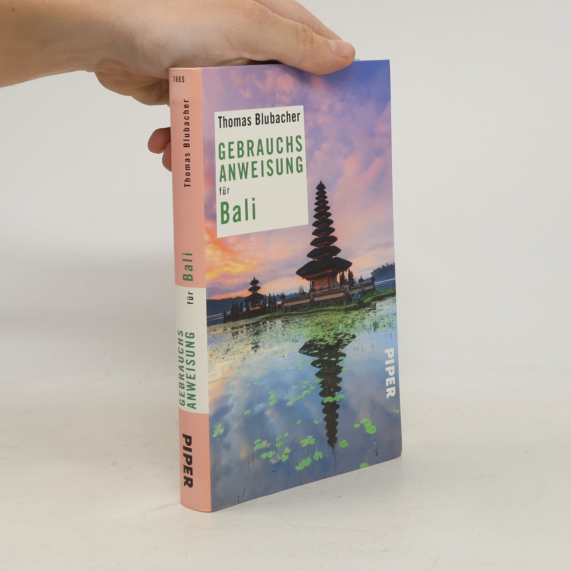 Thomas Blubacher Gebrauchsanweisung für Bali