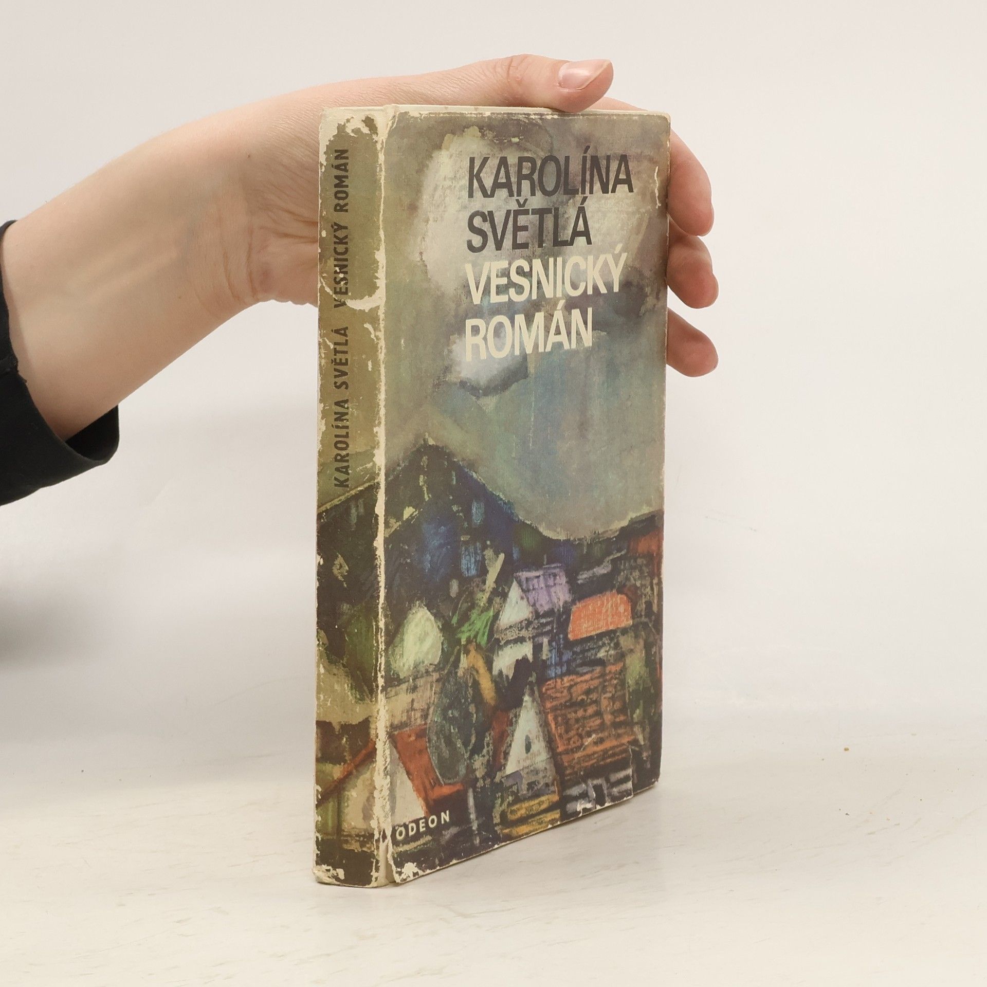 Karolina Světlá Vesnický román