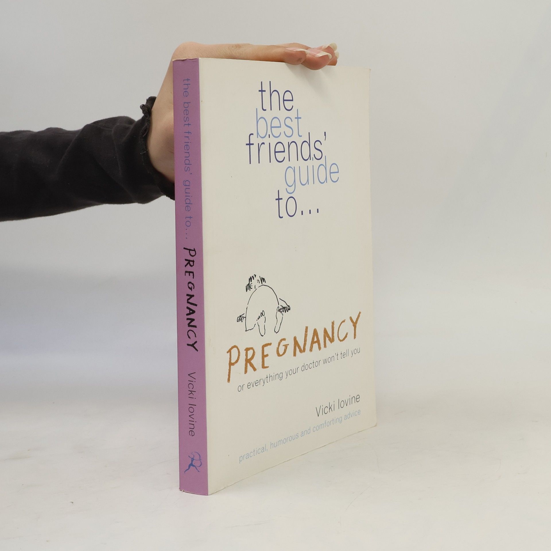 Vicki Lovine The Best Friends' Guide to Pregnancy: Or Everything Your Doctor Won't Tell You