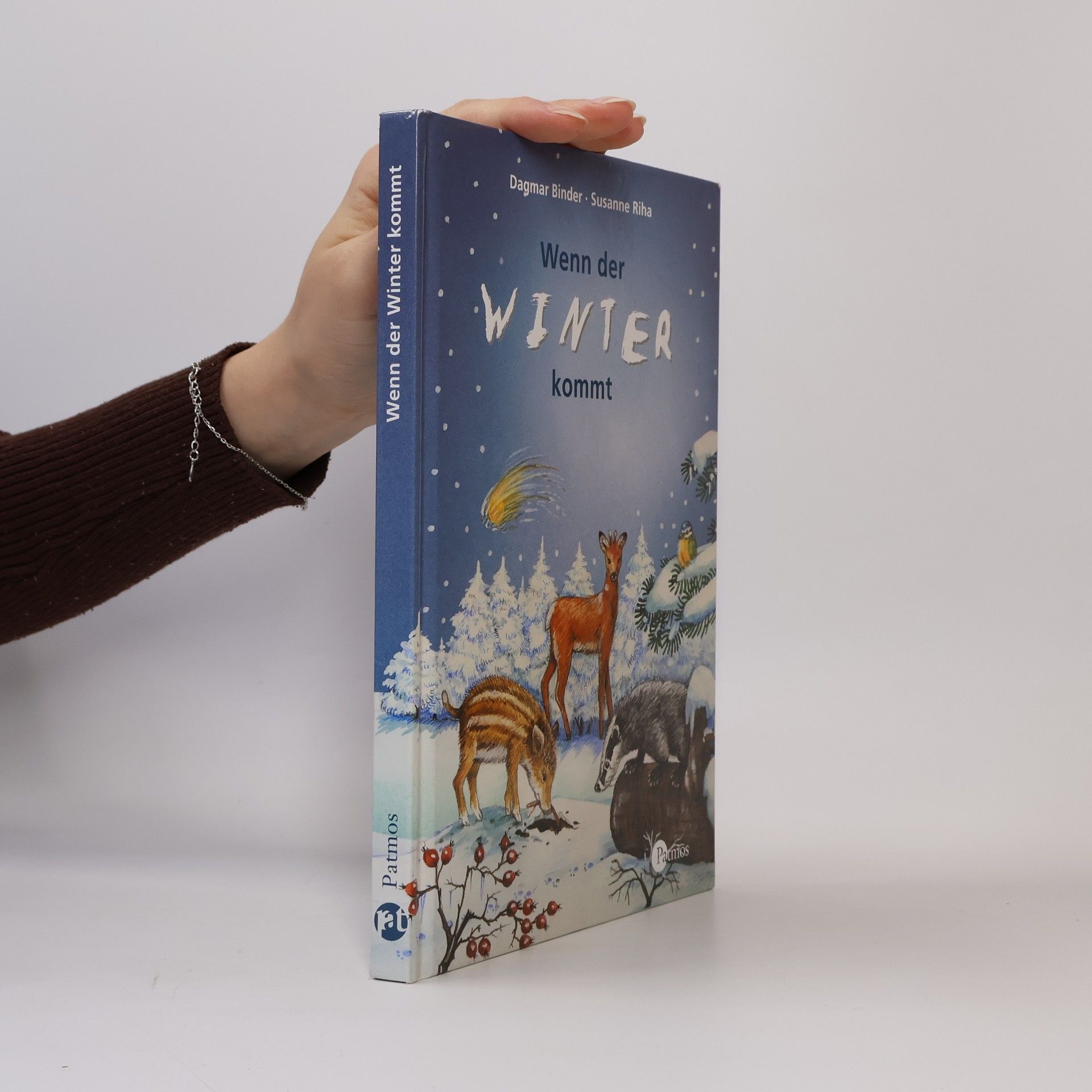 Dagmar Binder Wenn der Winter kommt