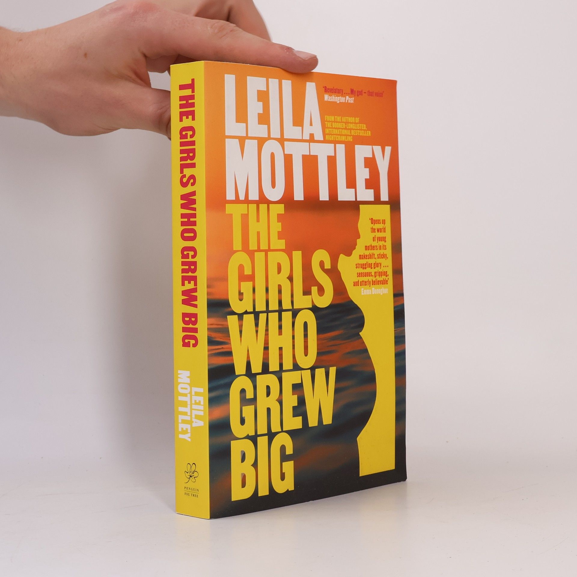 Leila Mottley The Girls Who Grew Big