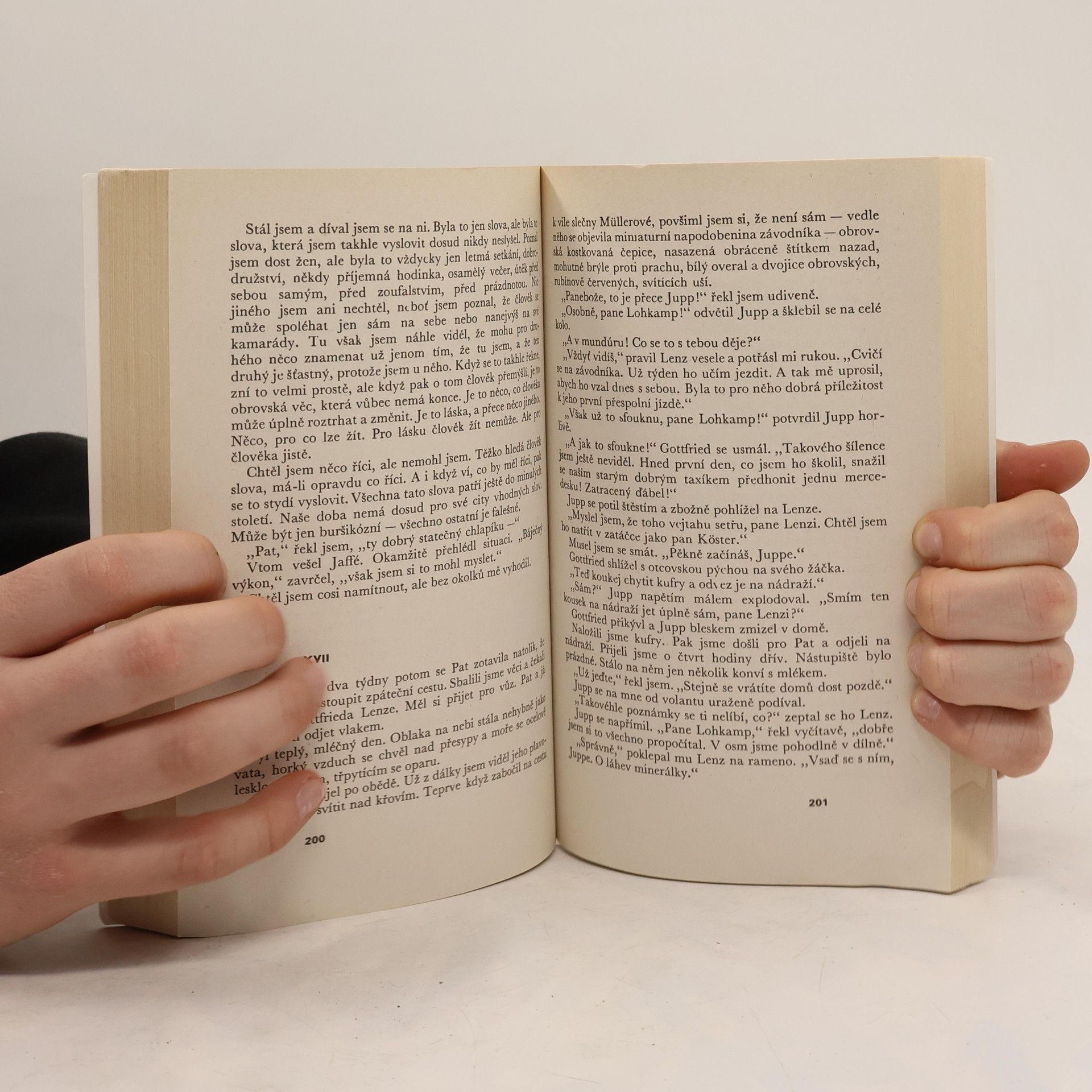 Erich Maria Remarque Tři kamarádi