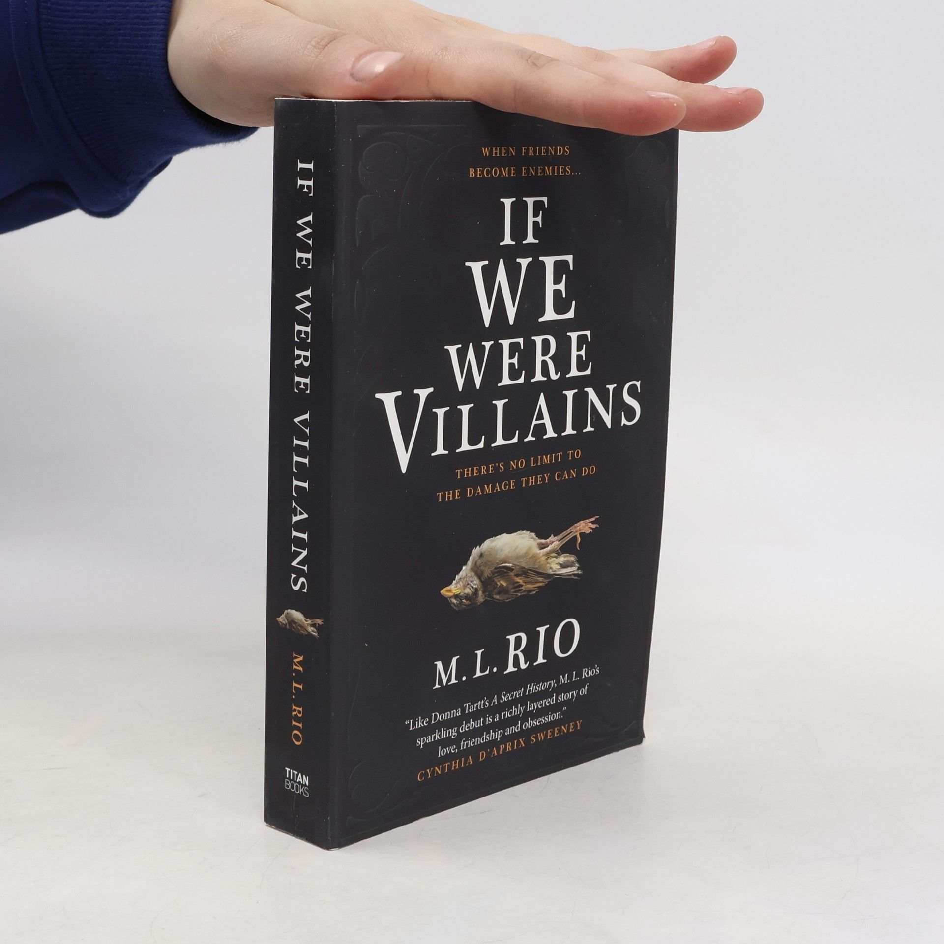 M. L. Rio If We Were Villains