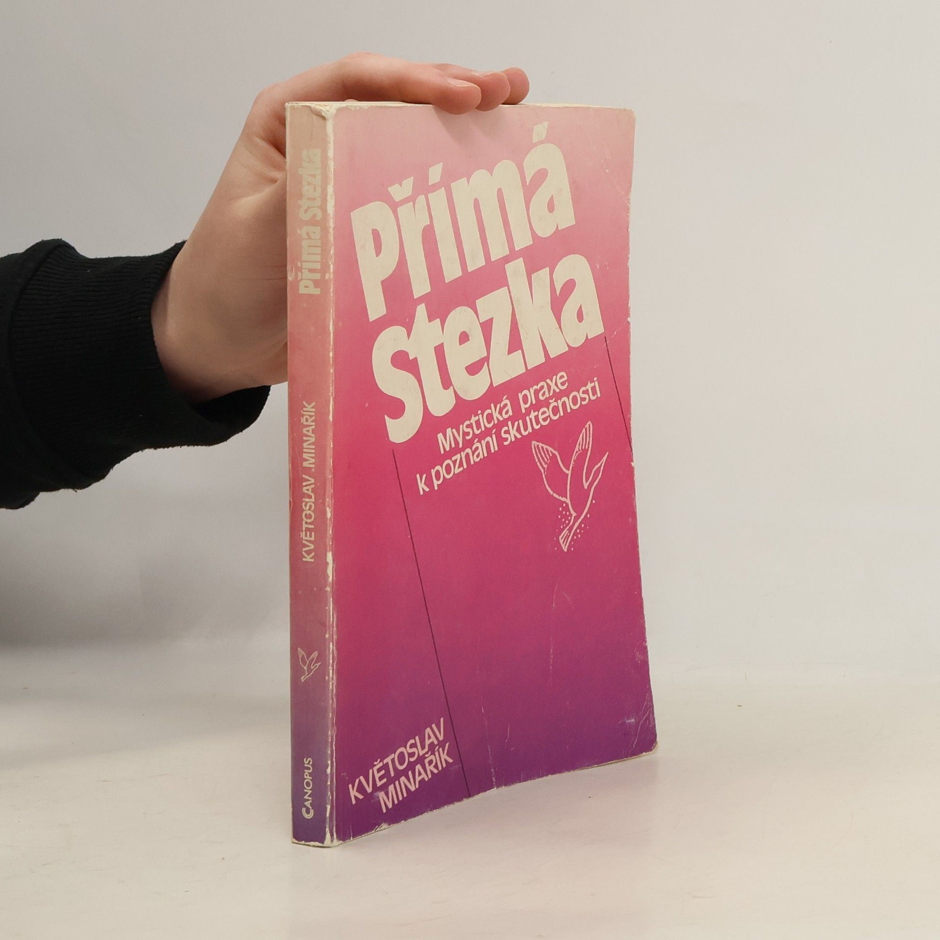 Kvetoslav Minarik Přímá stezka