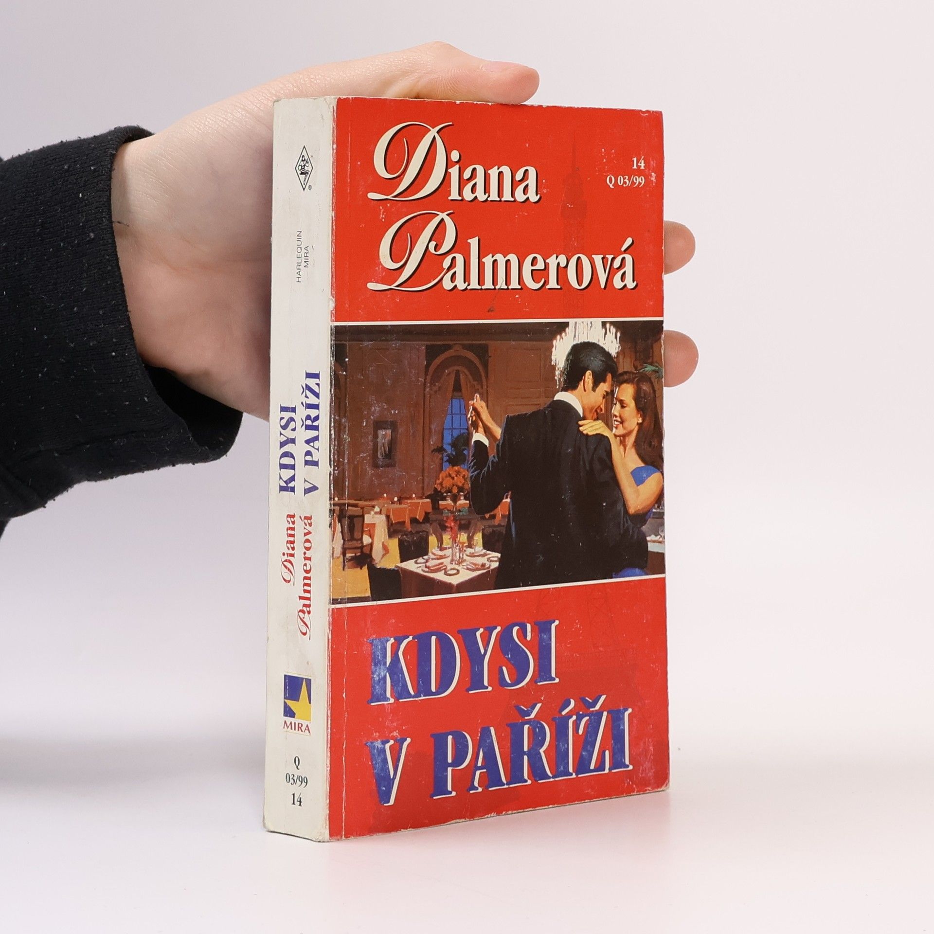 Diana Palmer Kdysi v Paříži