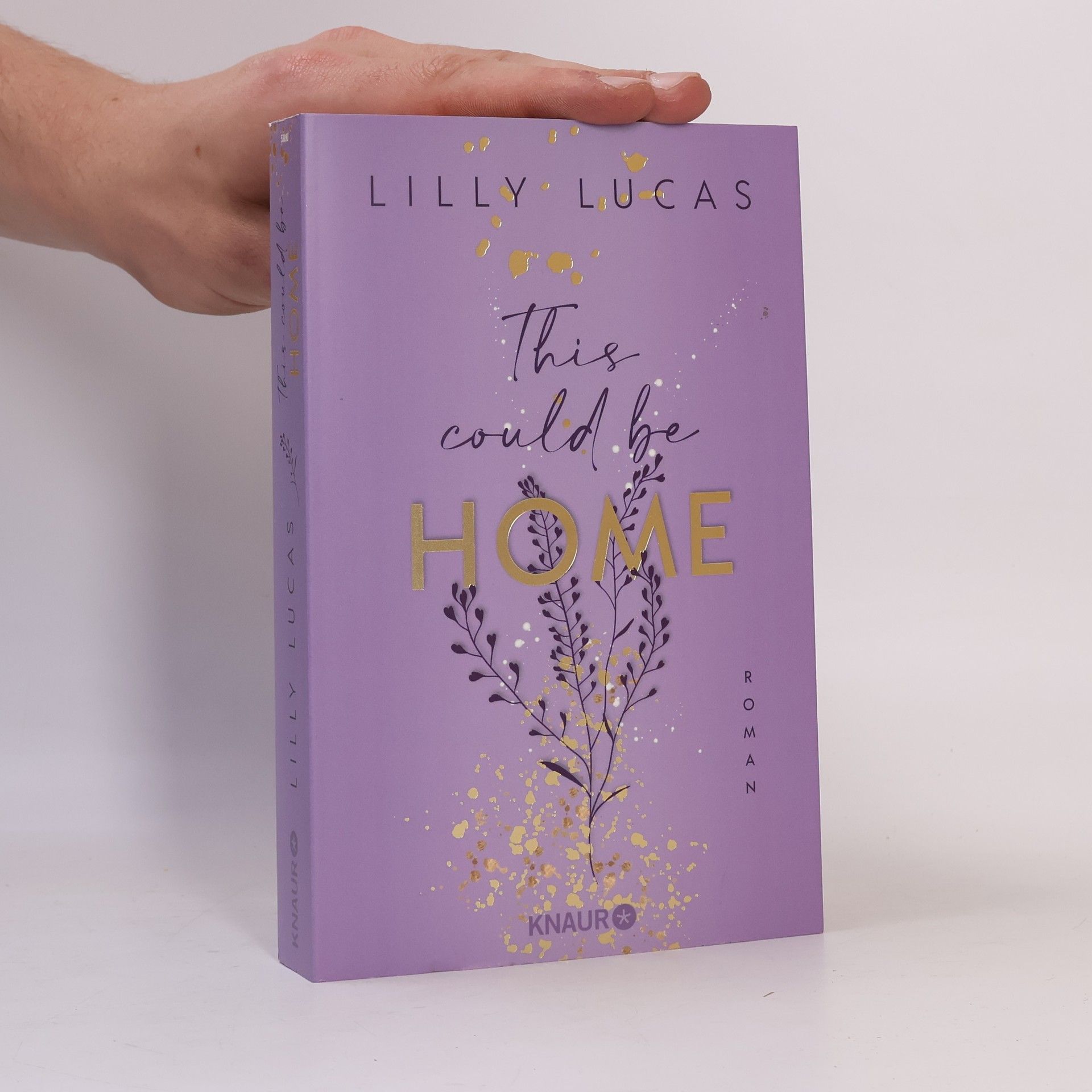 Lilly Lucas This could be home / Hawaii Love Bd.2