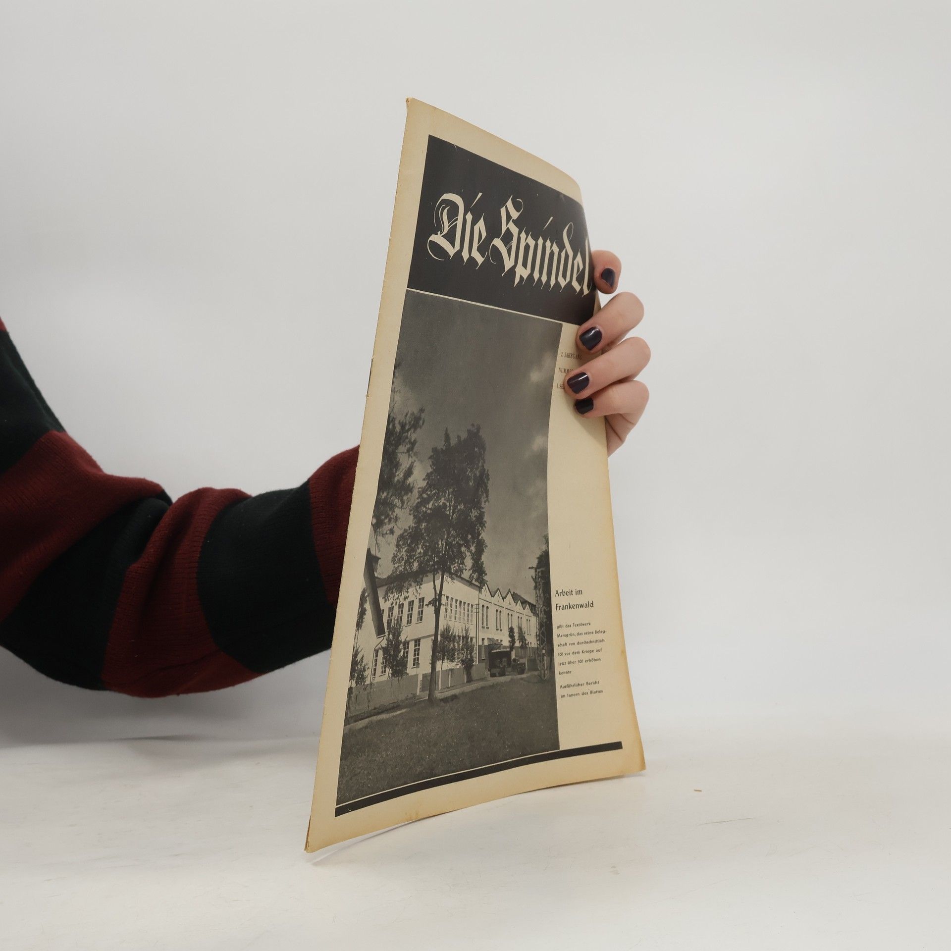 Autorenkollektiv Die Spindel