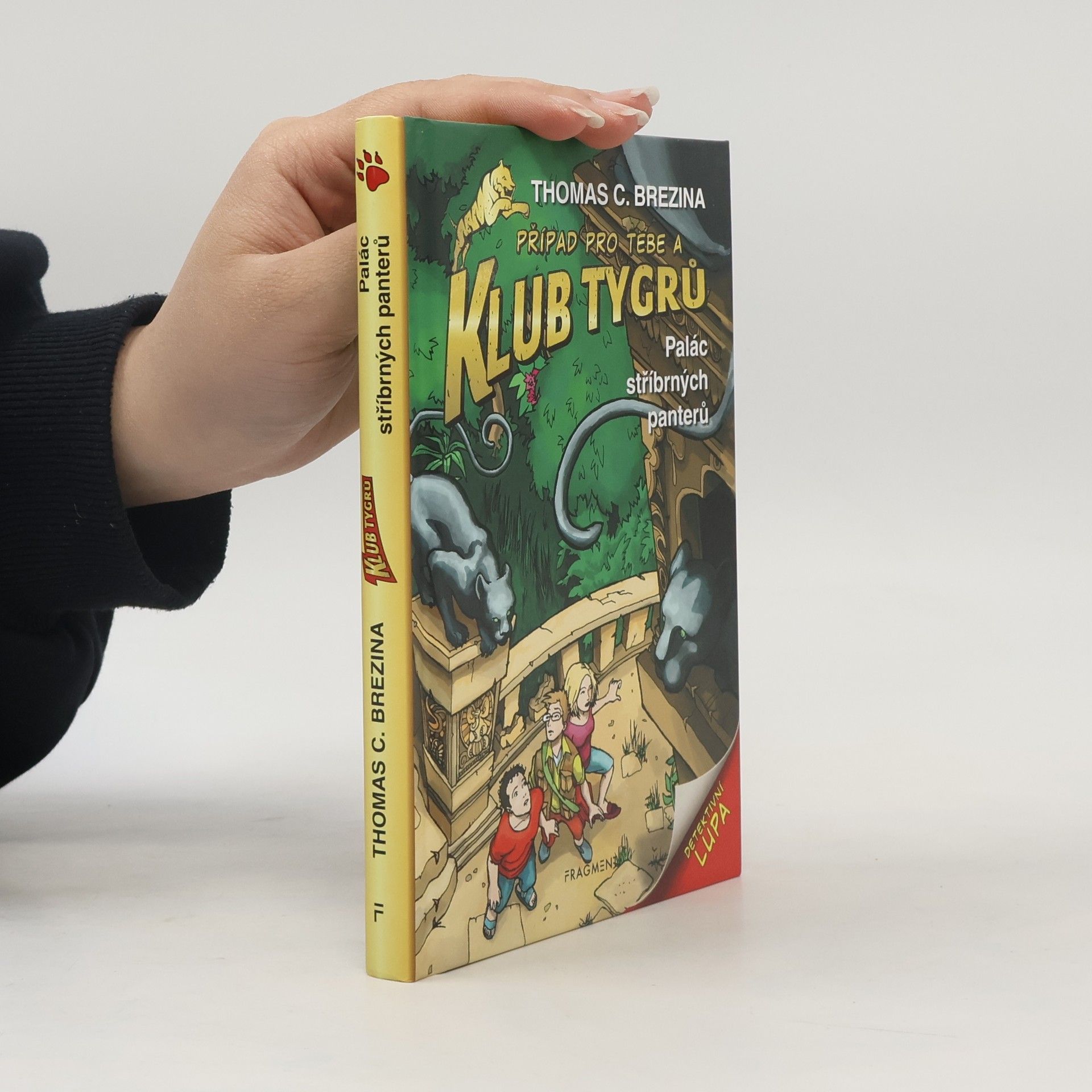 Thomas Brezina Palác stříbrných panterů