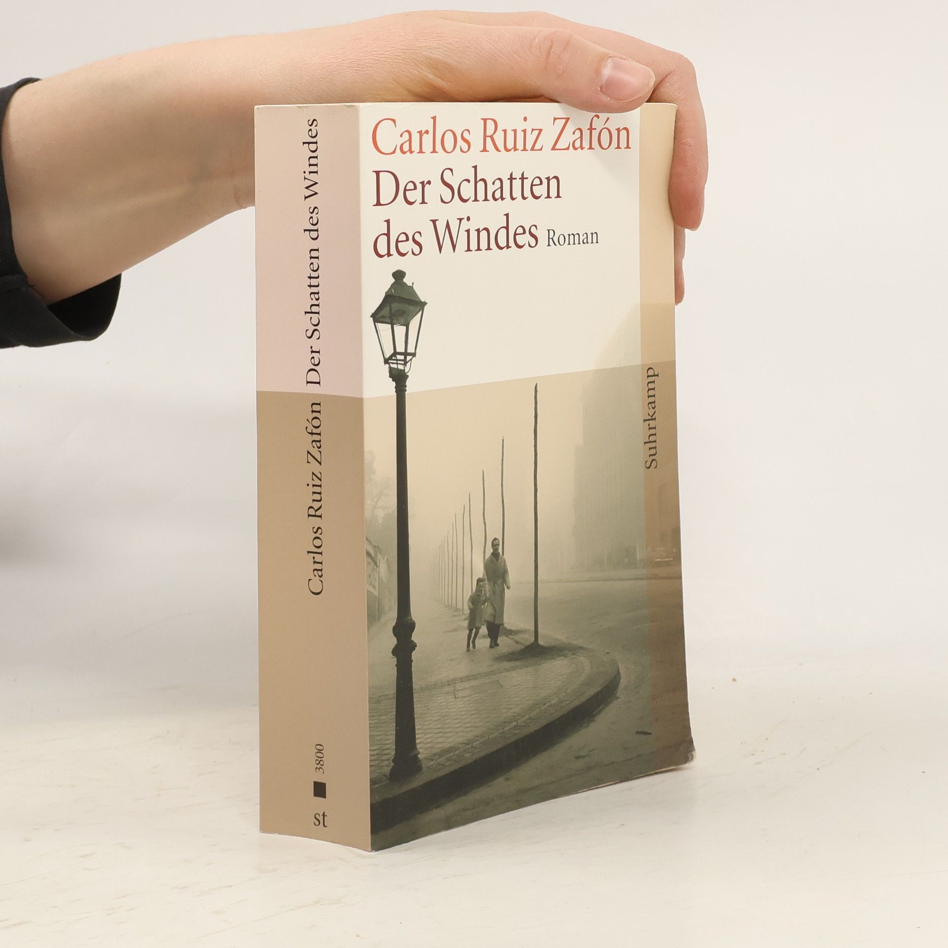 Der Schatten des Windes