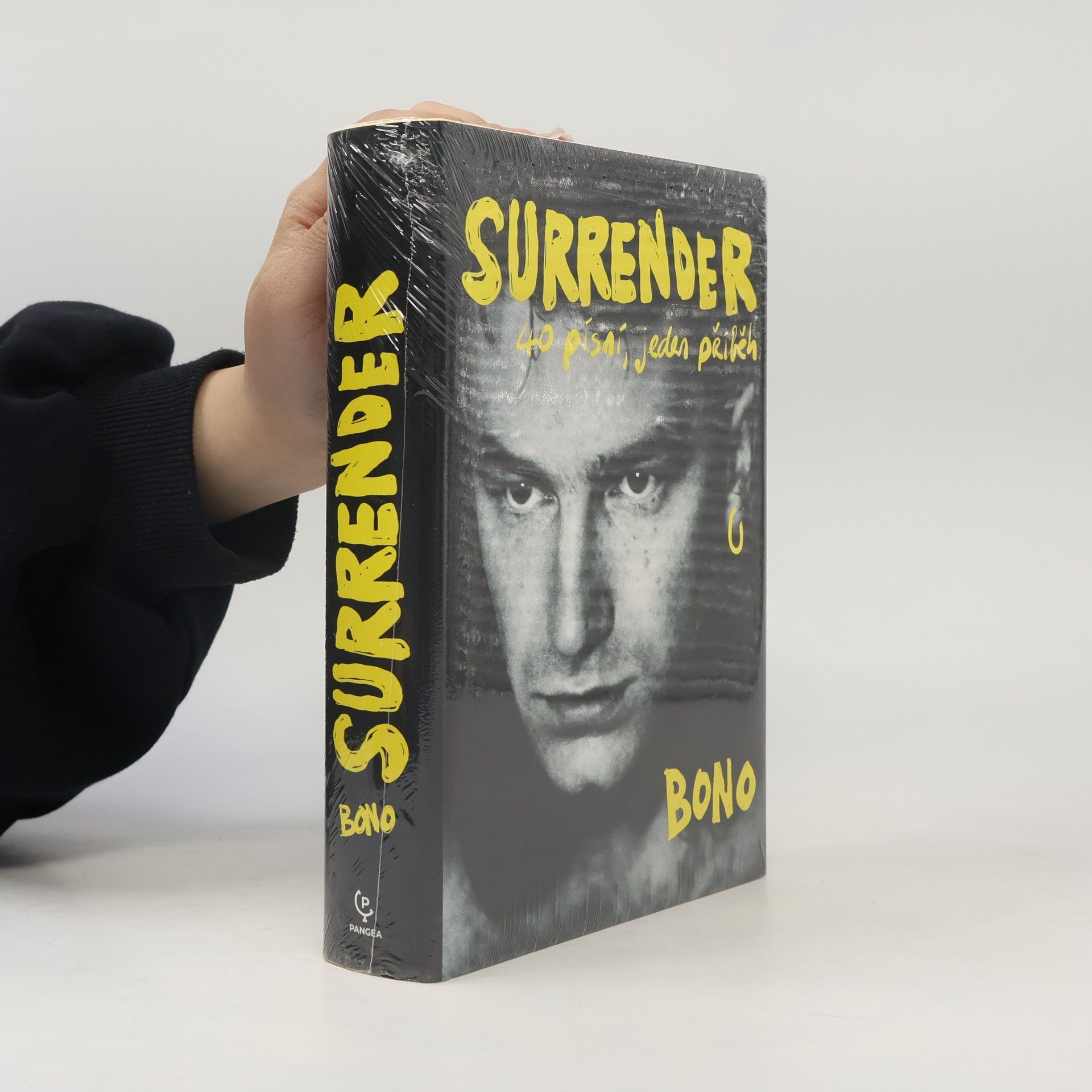 Bono Surrender : 40 písní, jeden příběh