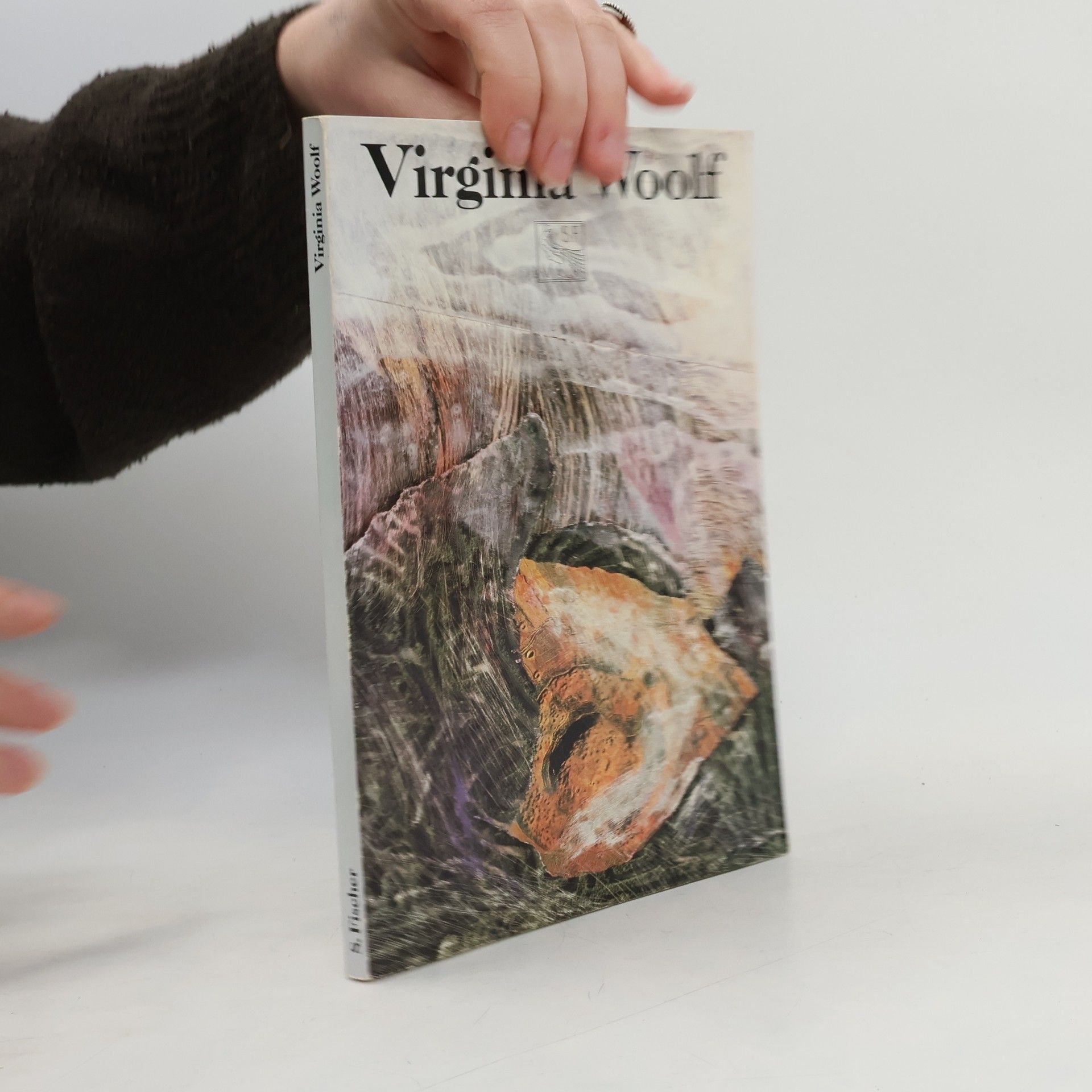 Autorenkollektiv Virginia Woolf