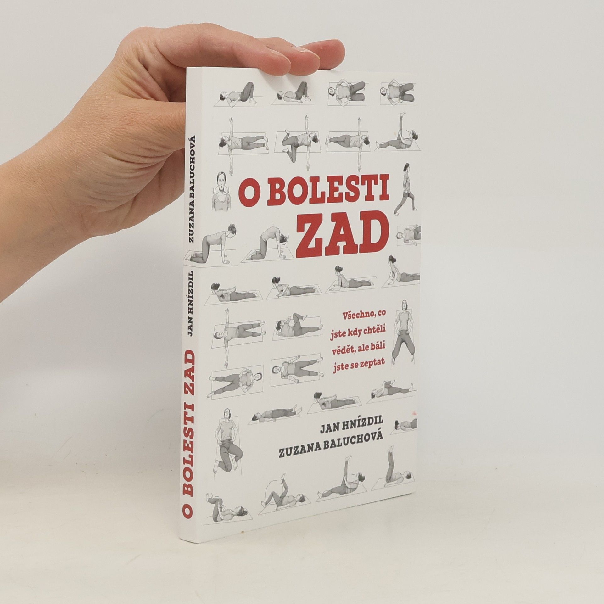 Jan Hnízdil O bolesti zad