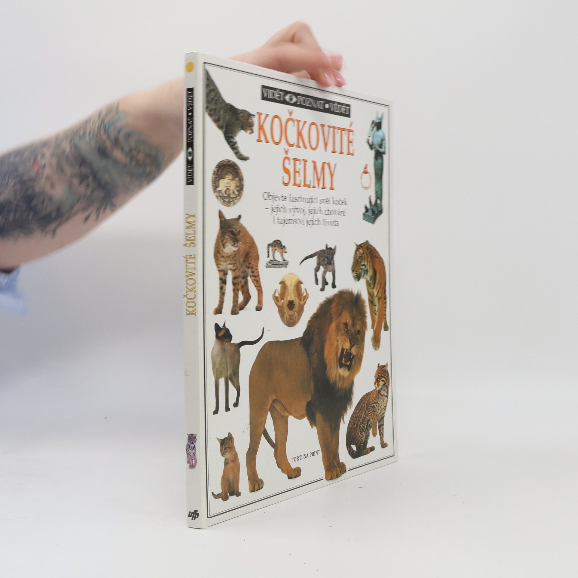 Juliet Clutton-Brock Kočkovité šelmy