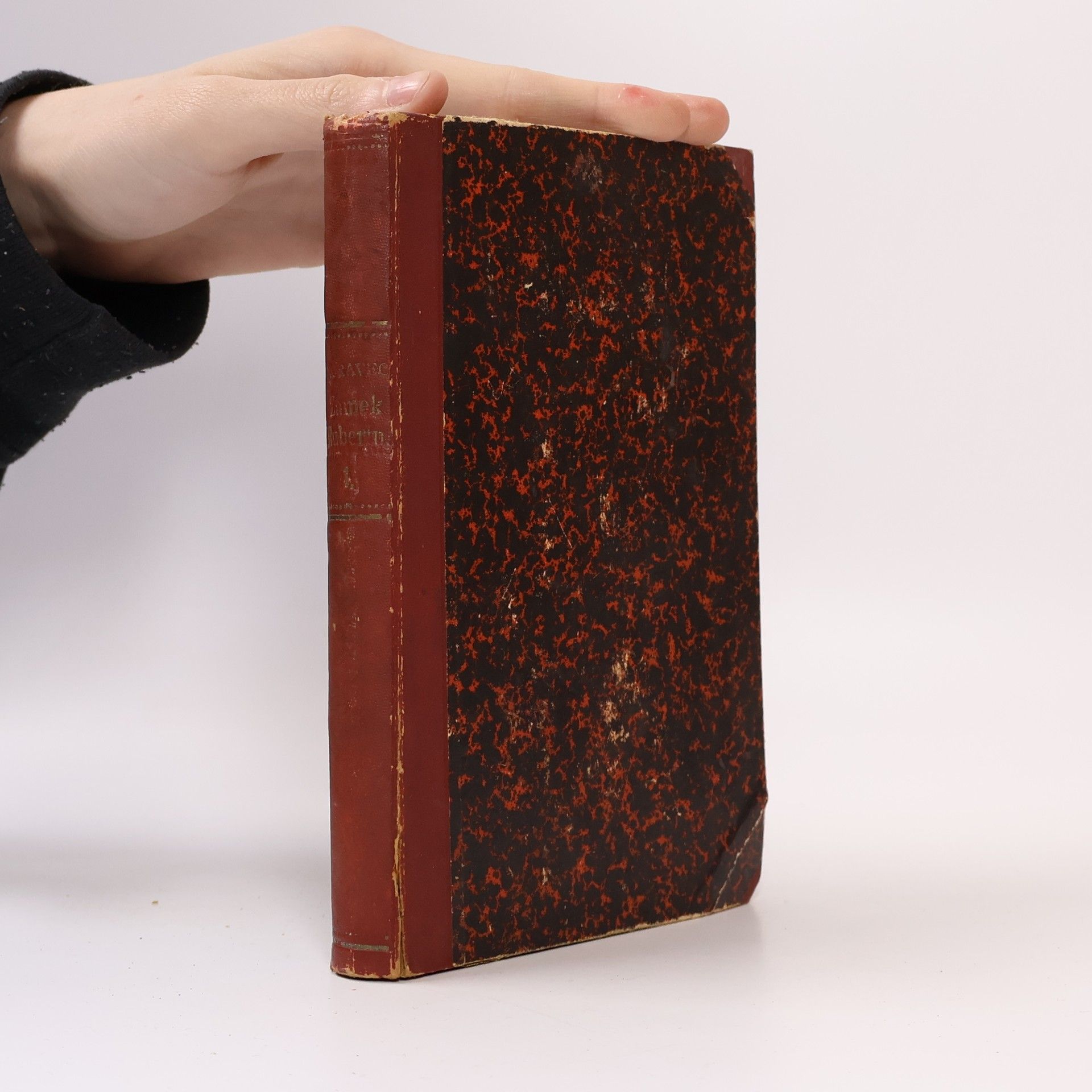 Ludvík Ganghofer Zámek Hubertus. Díl I.