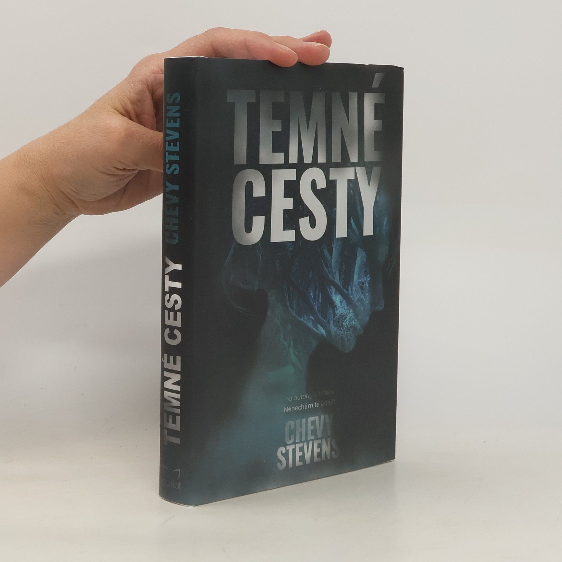 Chevy Stevens Temné cesty