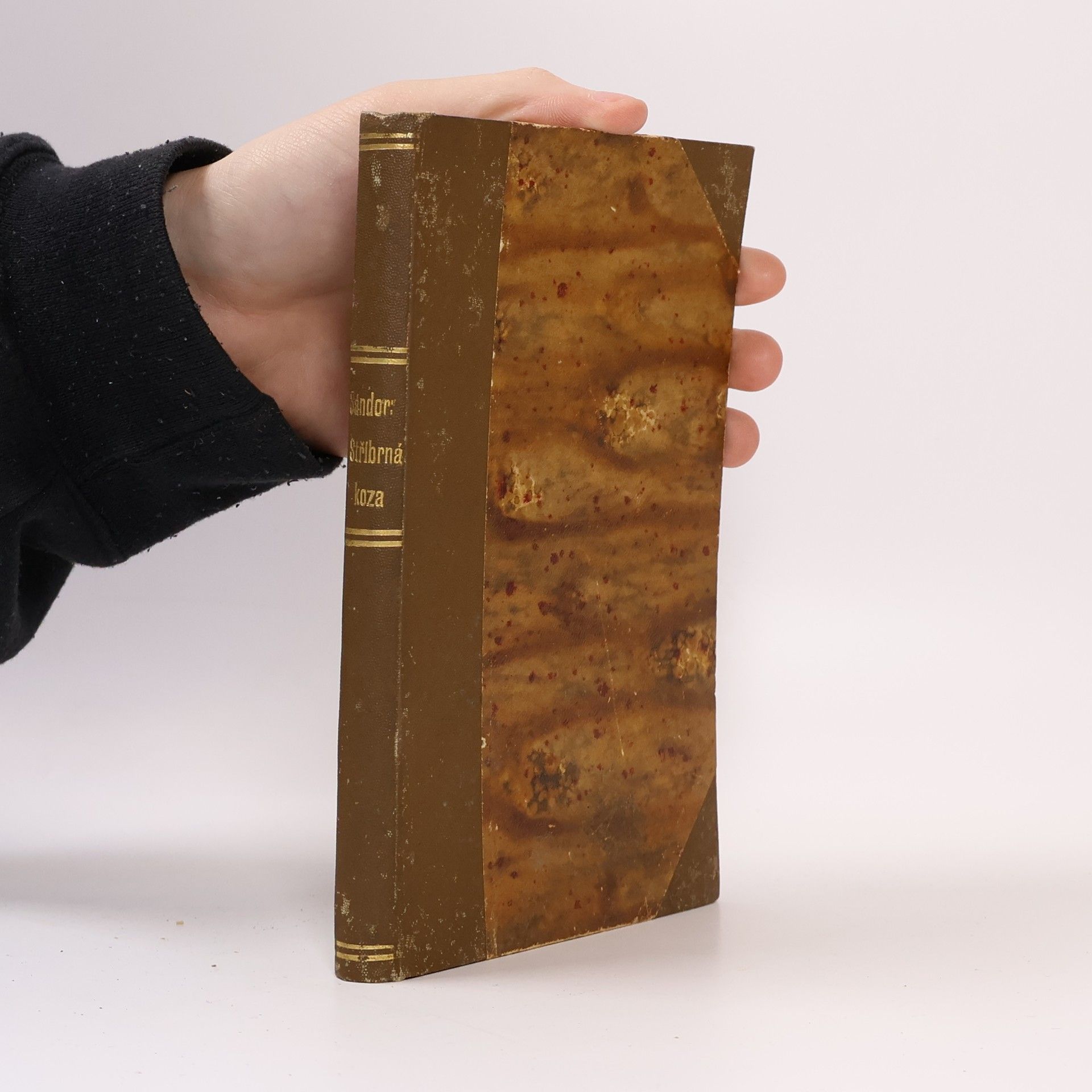 Sándor Bródy Stříbrná koza