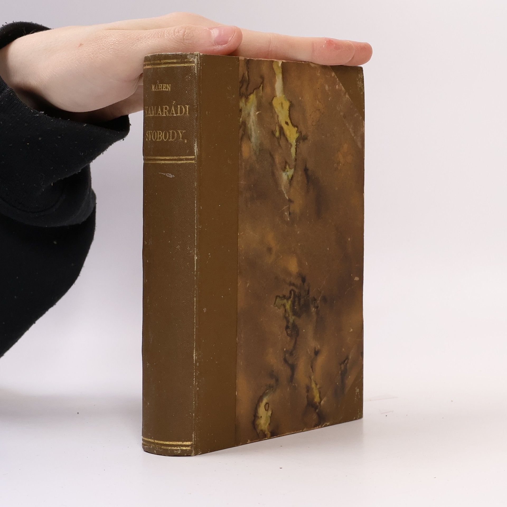 Jiří Mahen Kamarádi svobody