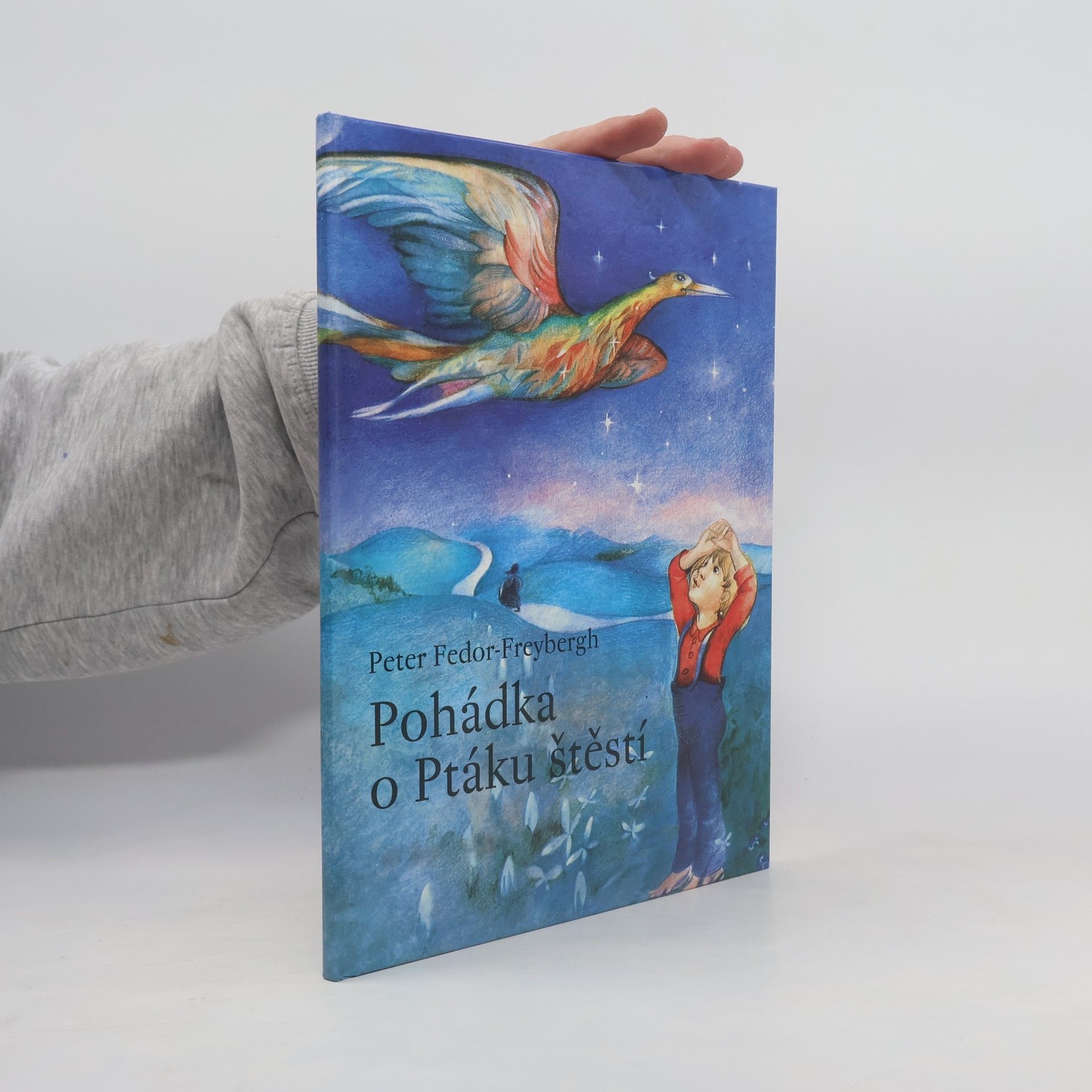 Peter Fedor Freybergh Pohádka o Ptáku štěstí