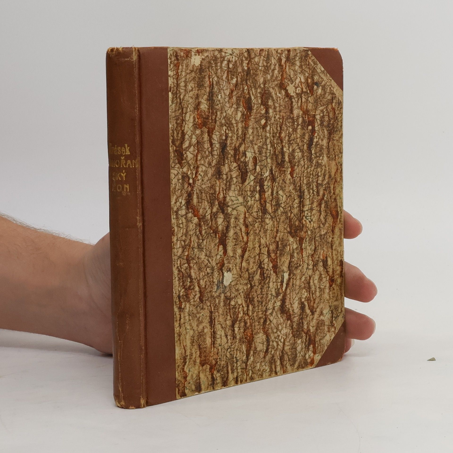 Alois Jirásek Záhořanský hon