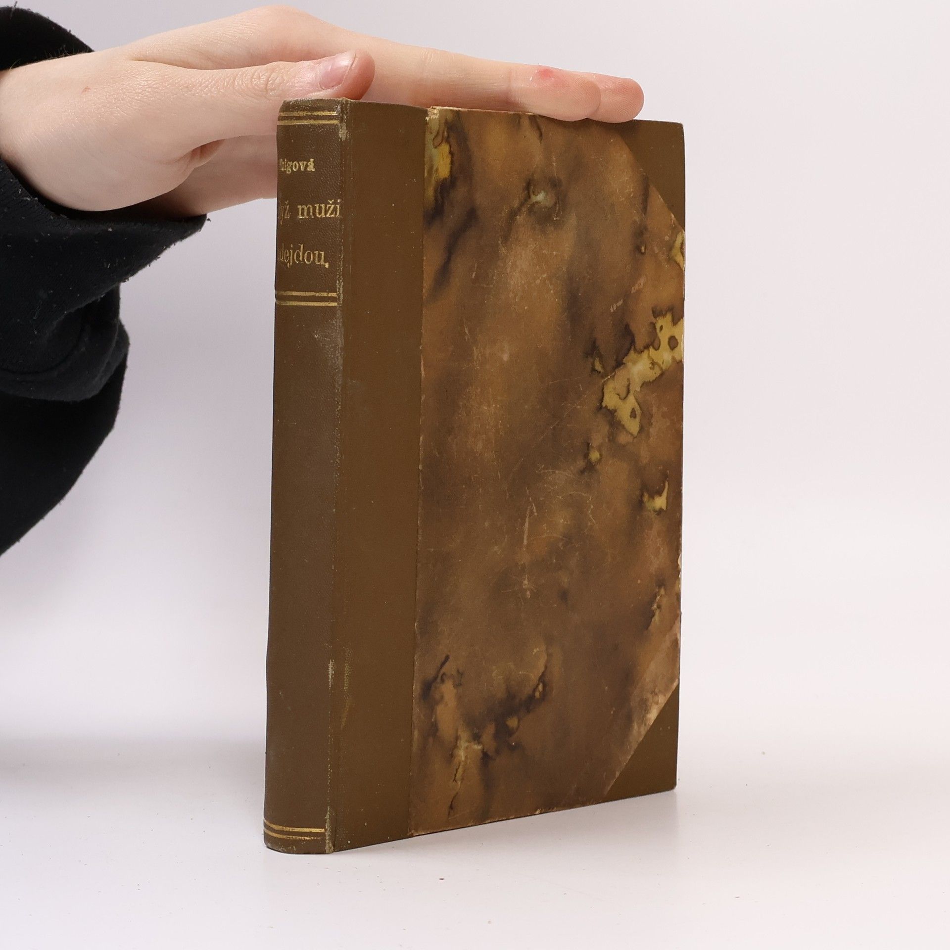 Clara Viebig Když muži ze vsi odejdou