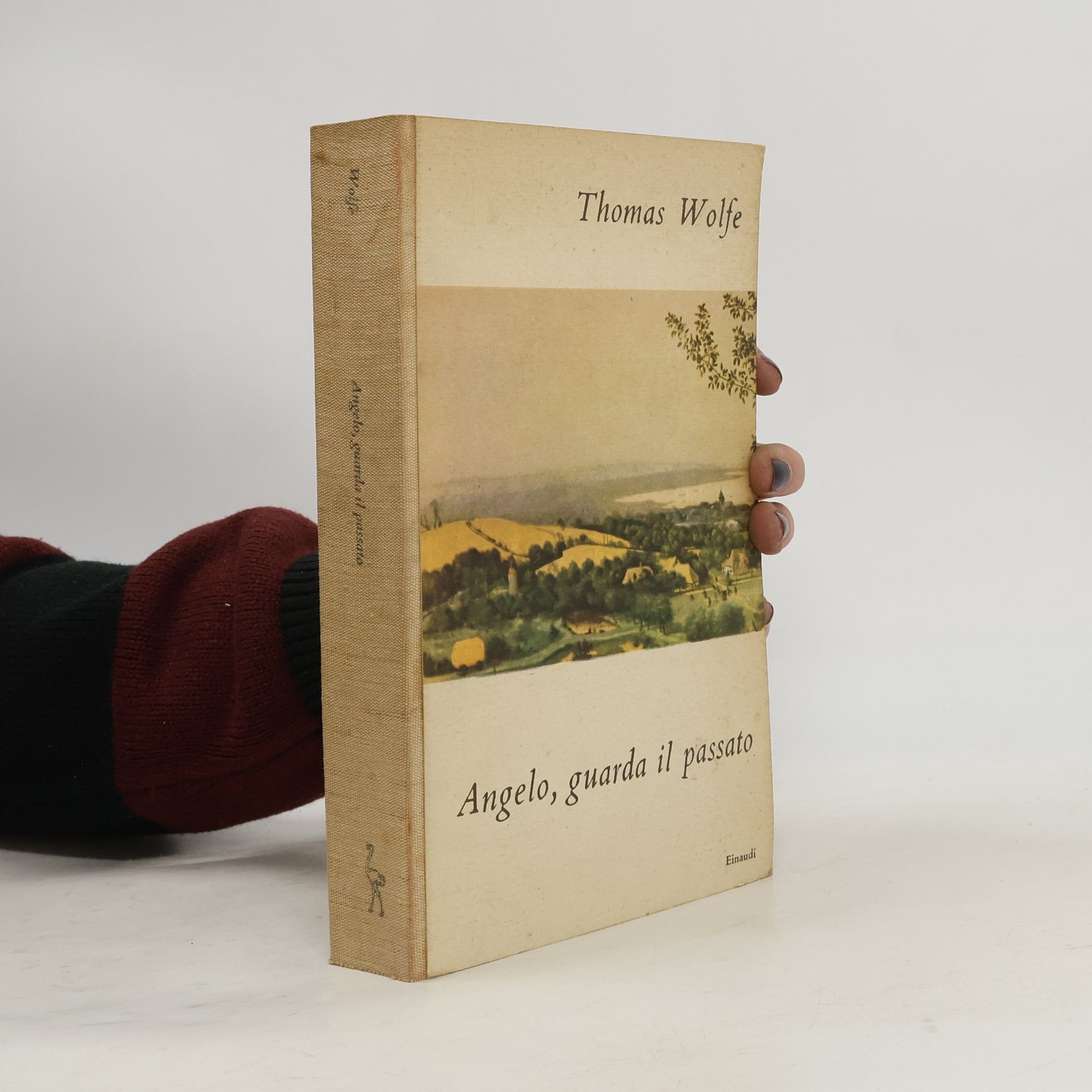 Thomas Wolfe Angelo, guarda il passato