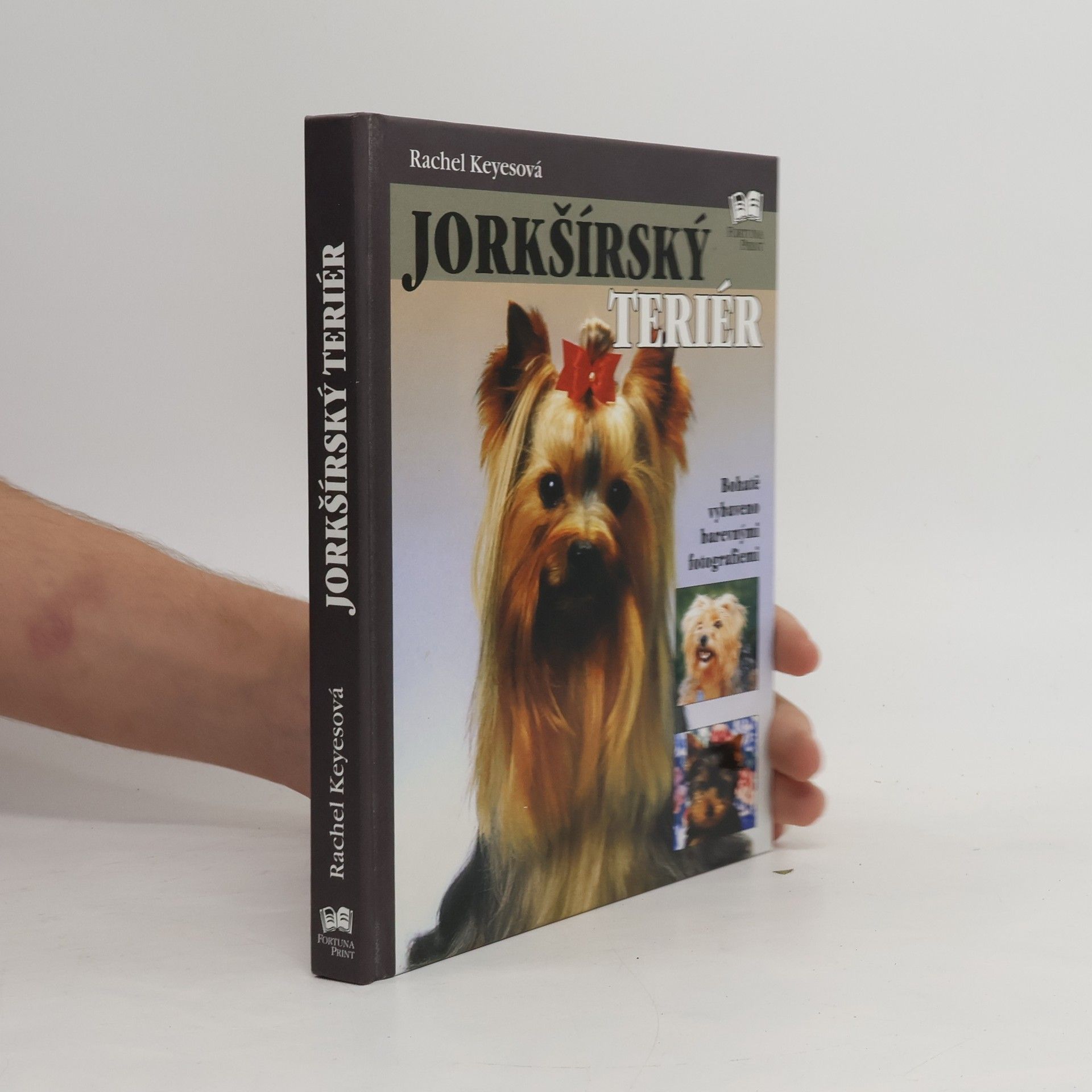 Rachel Keyes Jorkšírský teriér