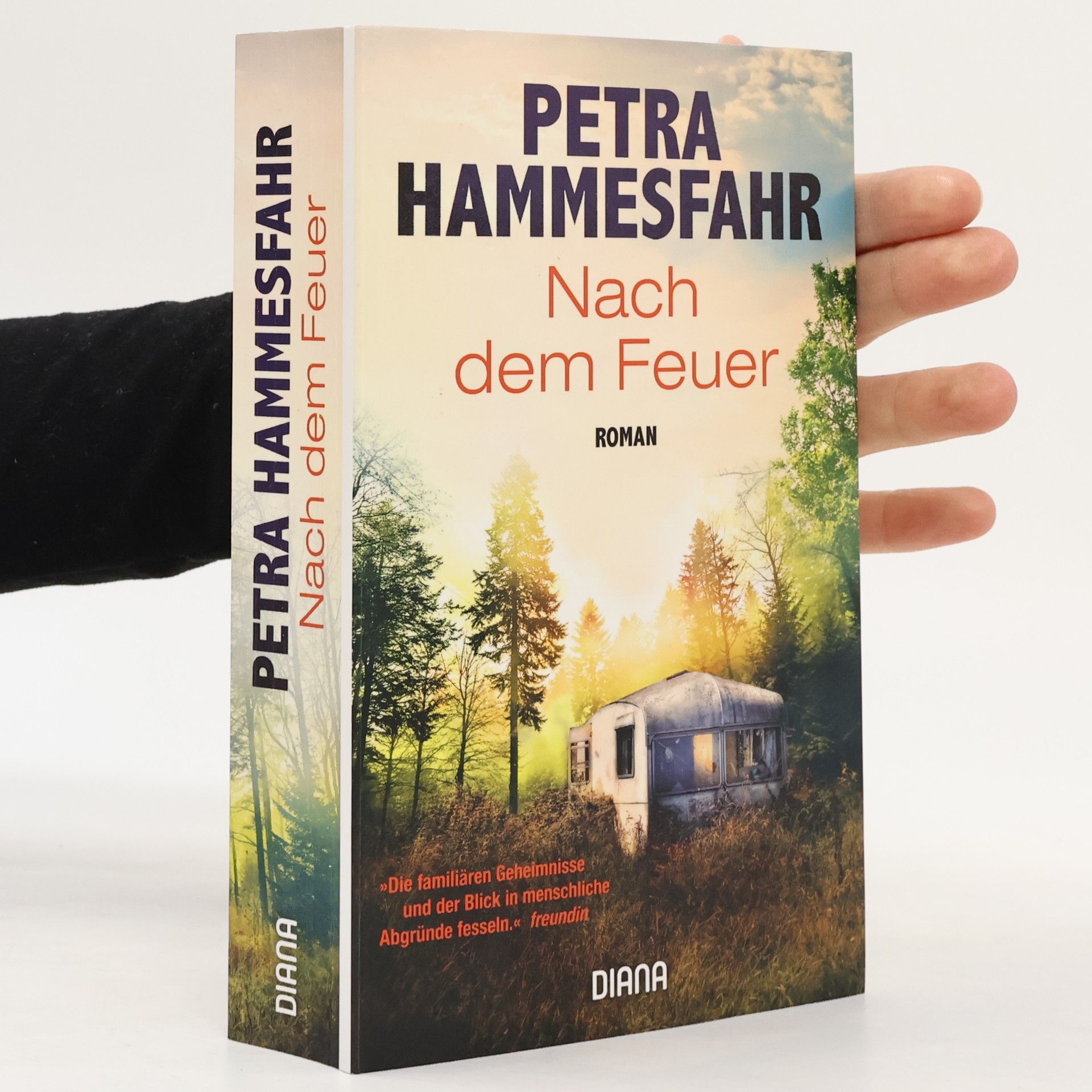 Petra Hammesfahr Nach dem Feuer
