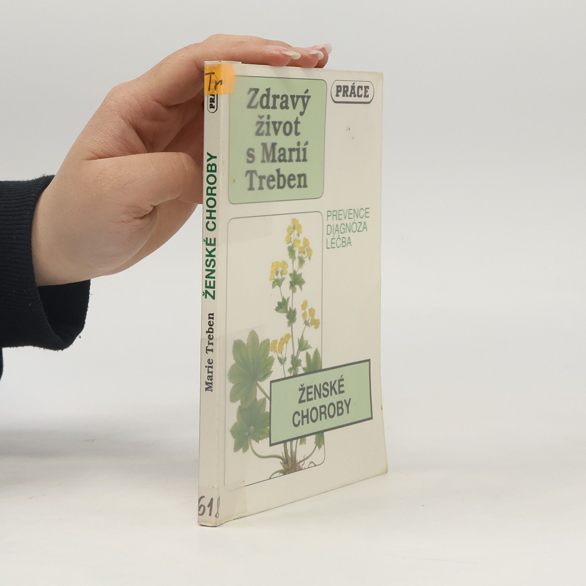 Maria Treben Ženské choroby