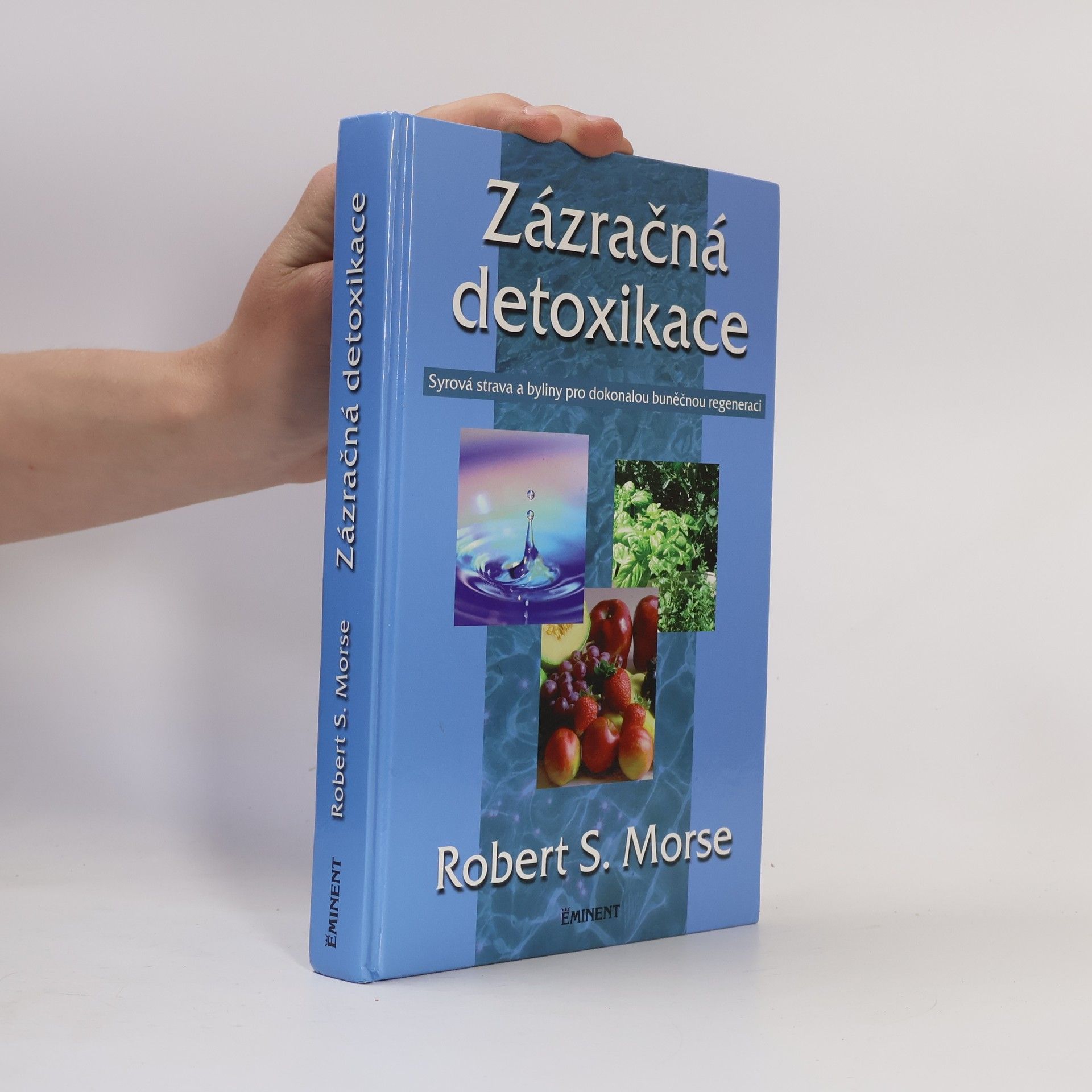 Robert Morse Zázračná detoxikace