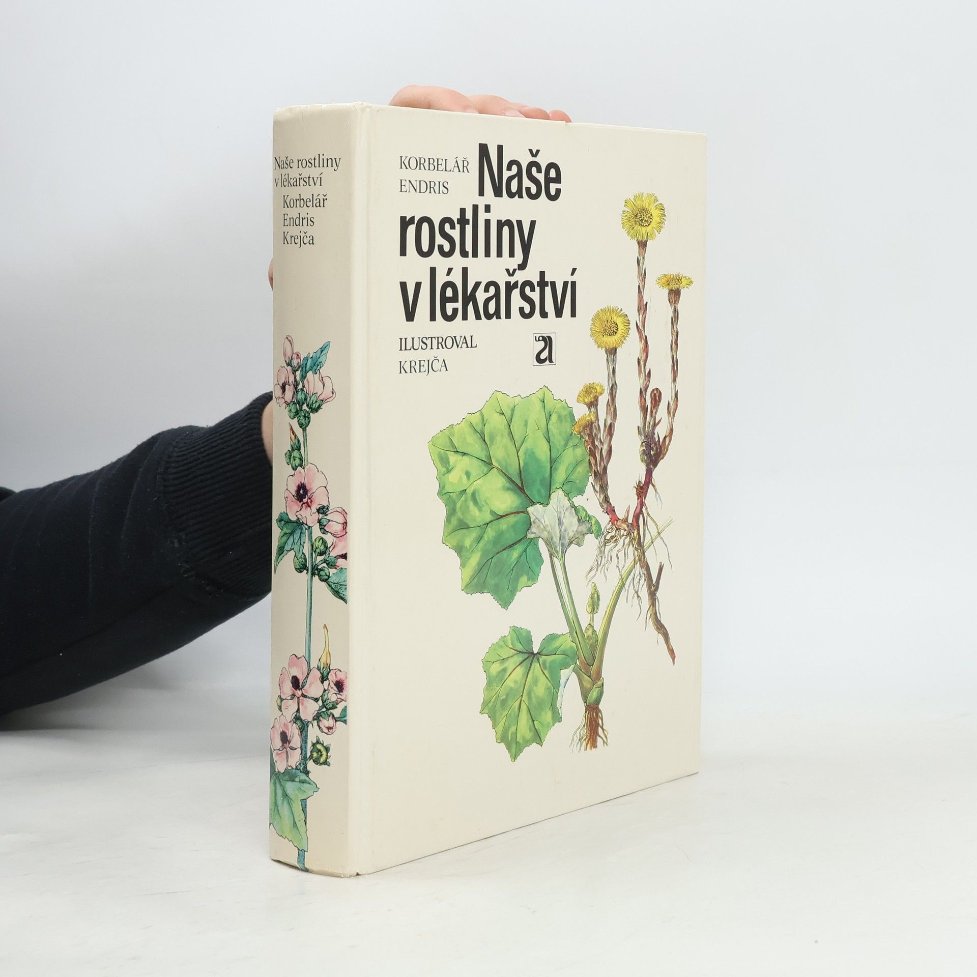 Jaroslav Korbelář Naše rostliny v lékařství