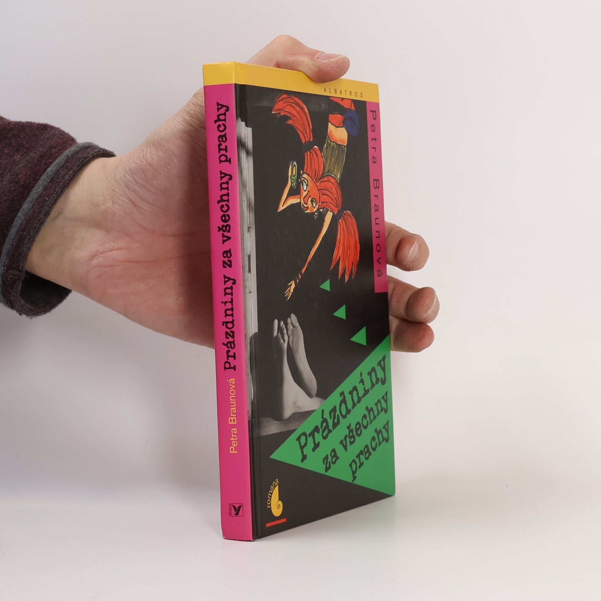 Petra Braun Groh Prázdniny za všechny prachy